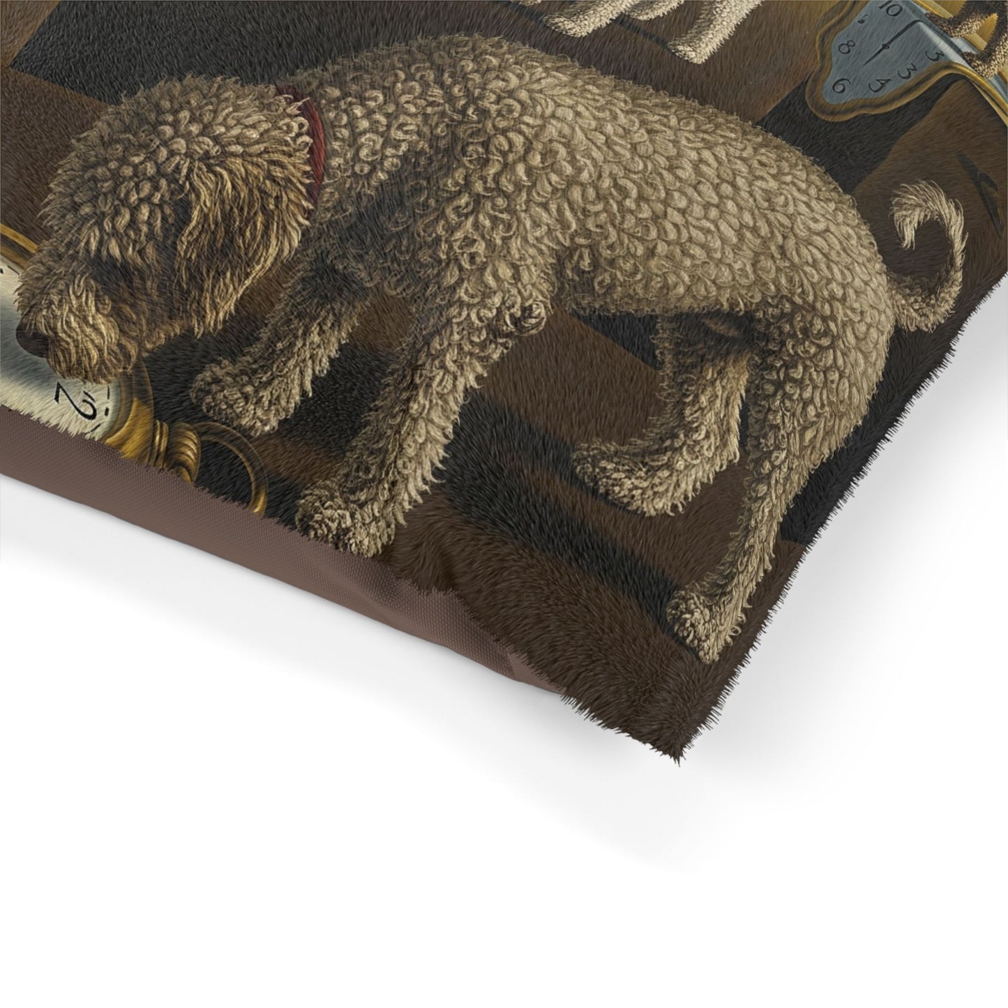 Spanish Water Dog Pet Bed