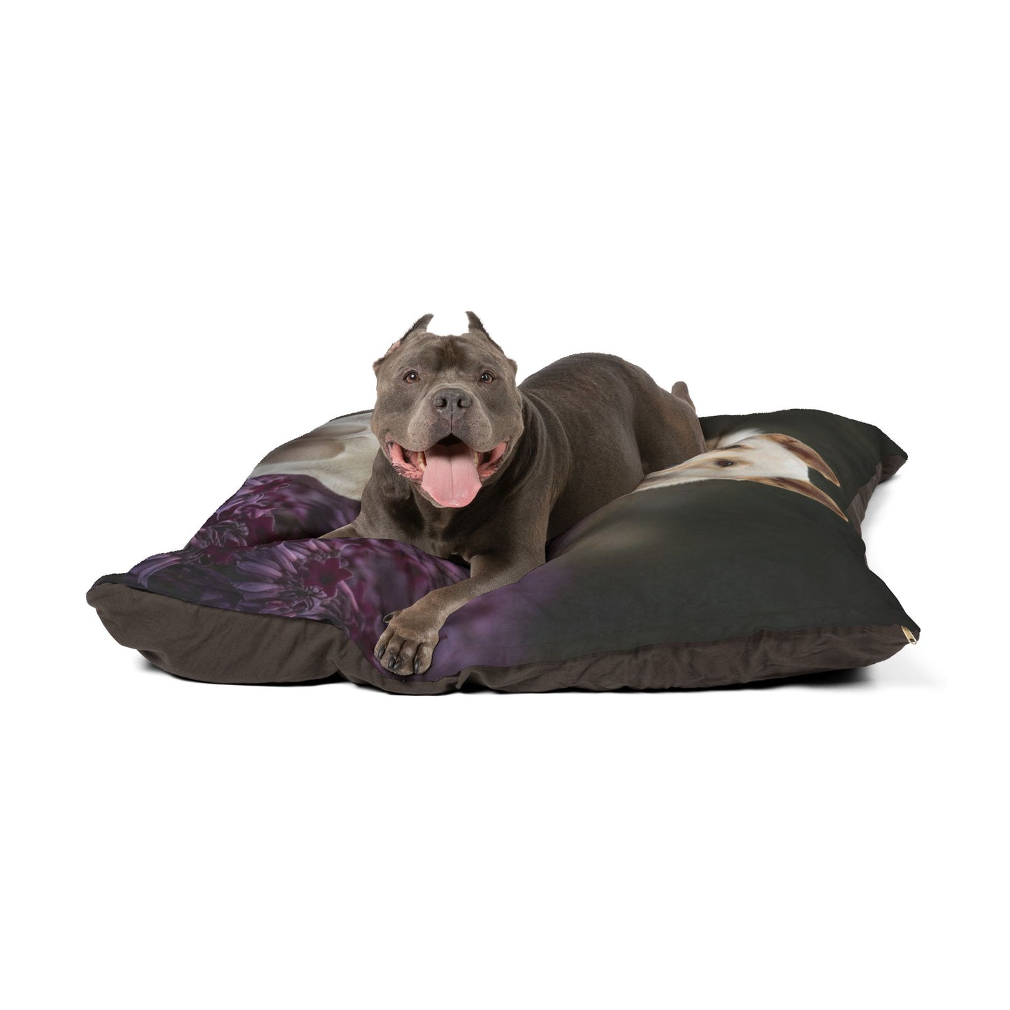 Thai Bangkaew Pet Bed