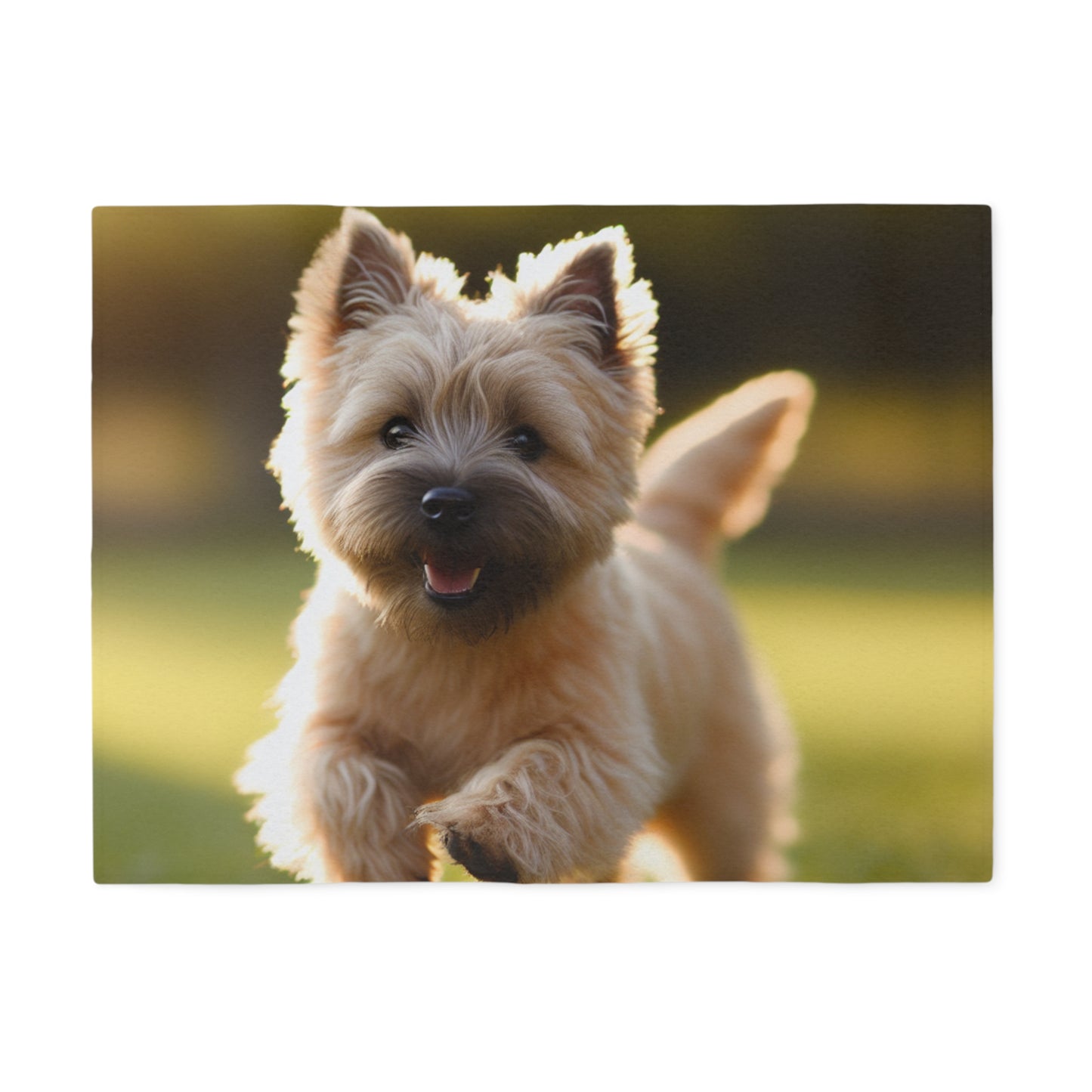 Cairn Terrier Sweatshirt Blanket