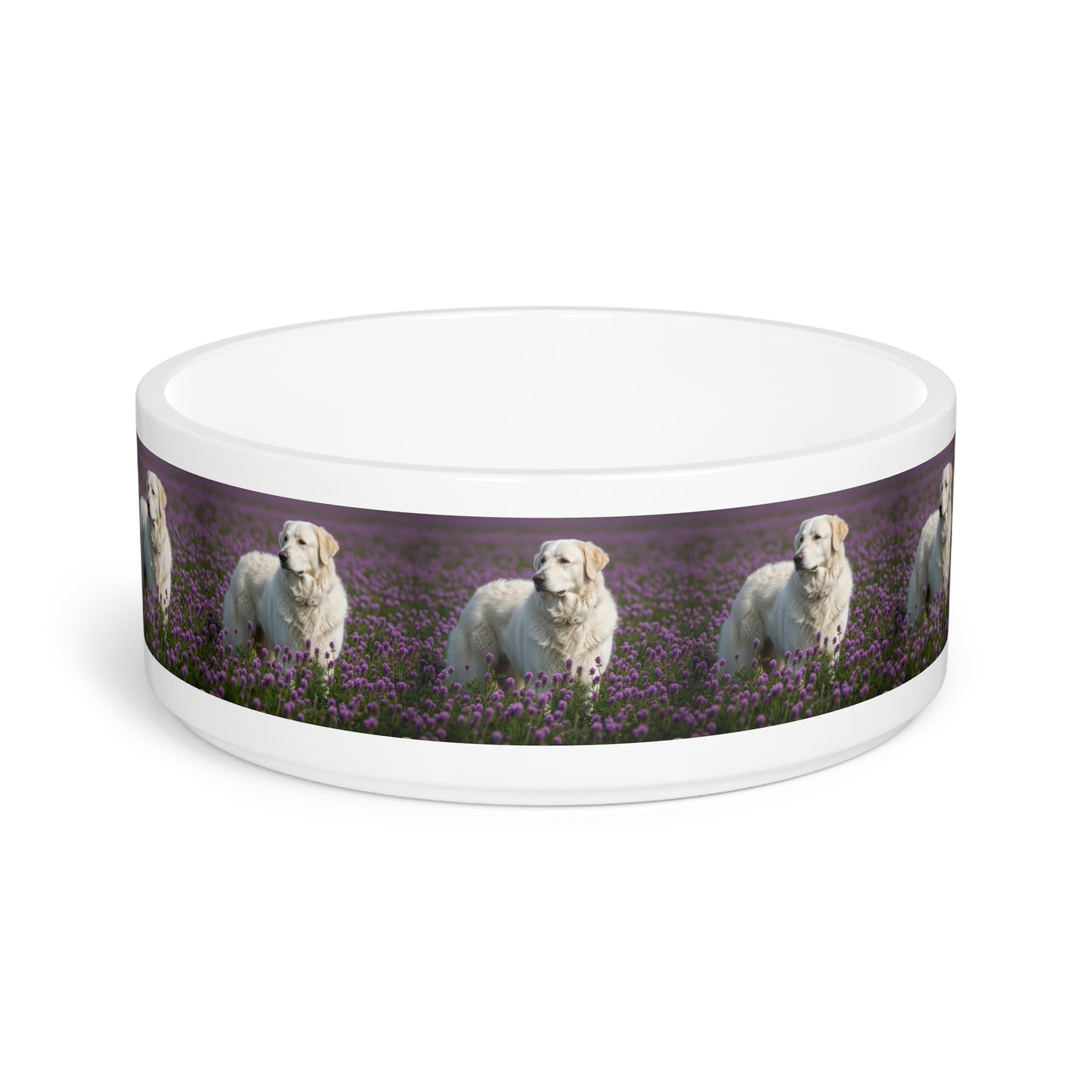 Kuvasz Pet Bowl