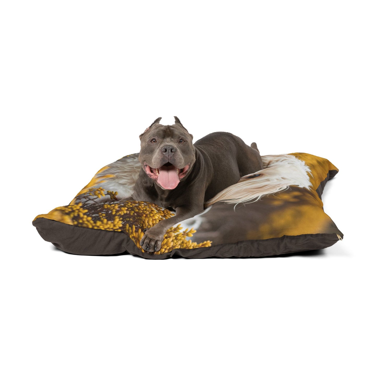 Maltipoo Pet Bed