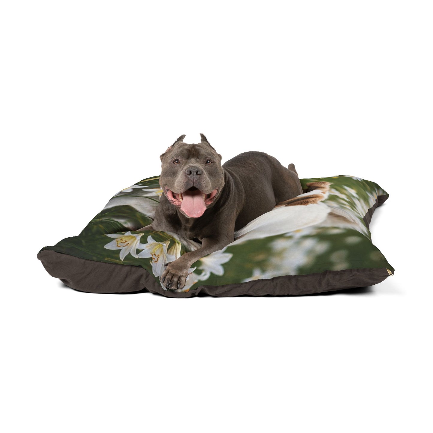 Pyrenean Shepherd Pet Bed