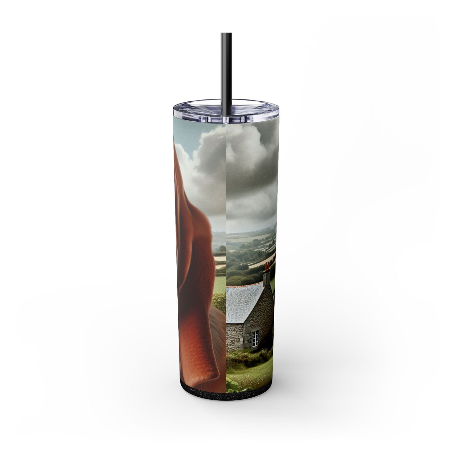 Basset Fauve de Bretagne Tumbler with Straw, 20oz