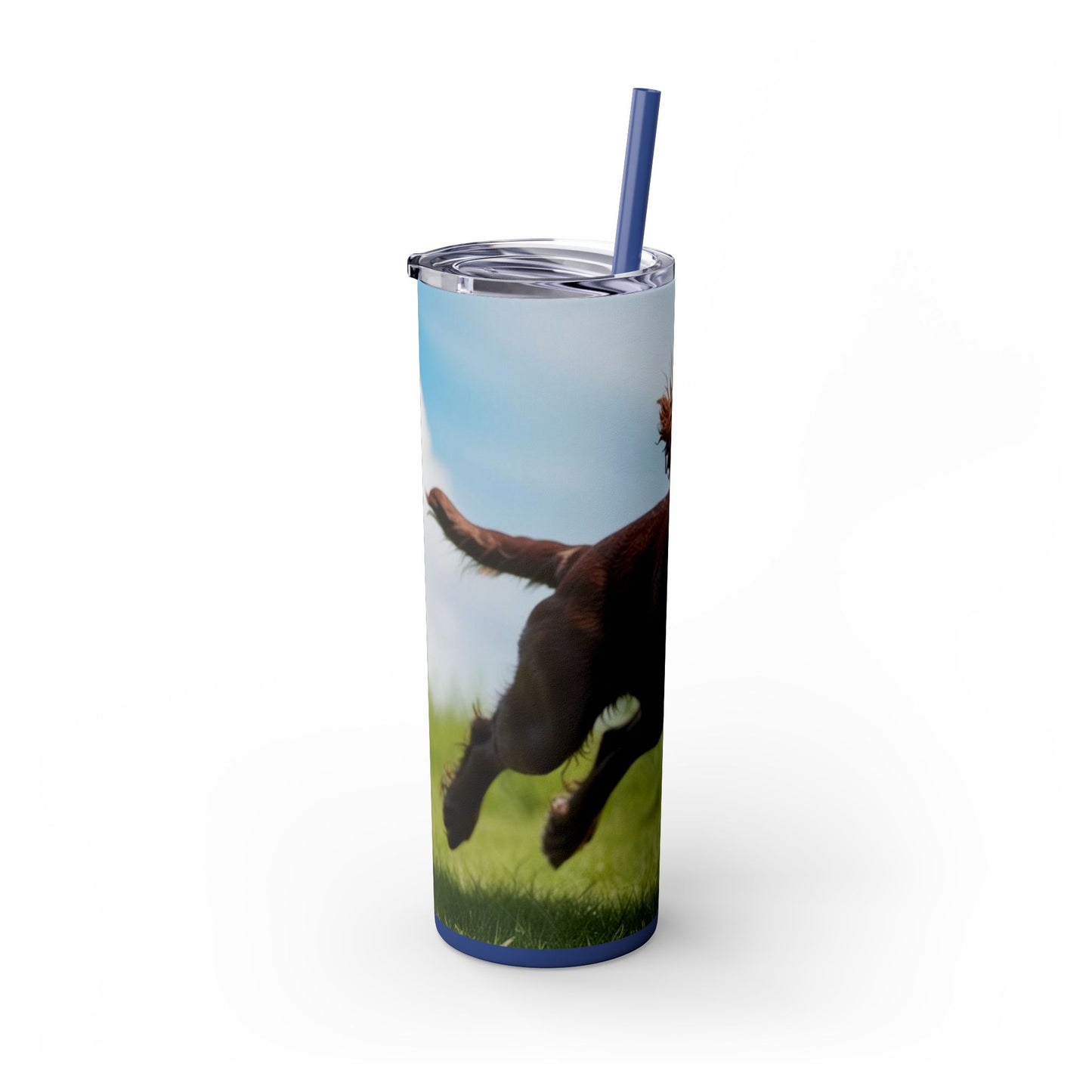 Irish Water Spaniel Tumbler with Straw, 20oz