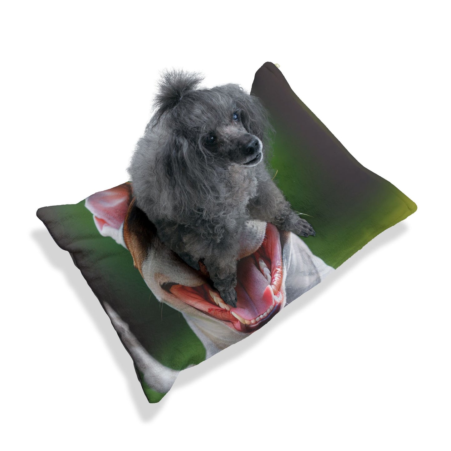 Bull Terrier Pet Bed