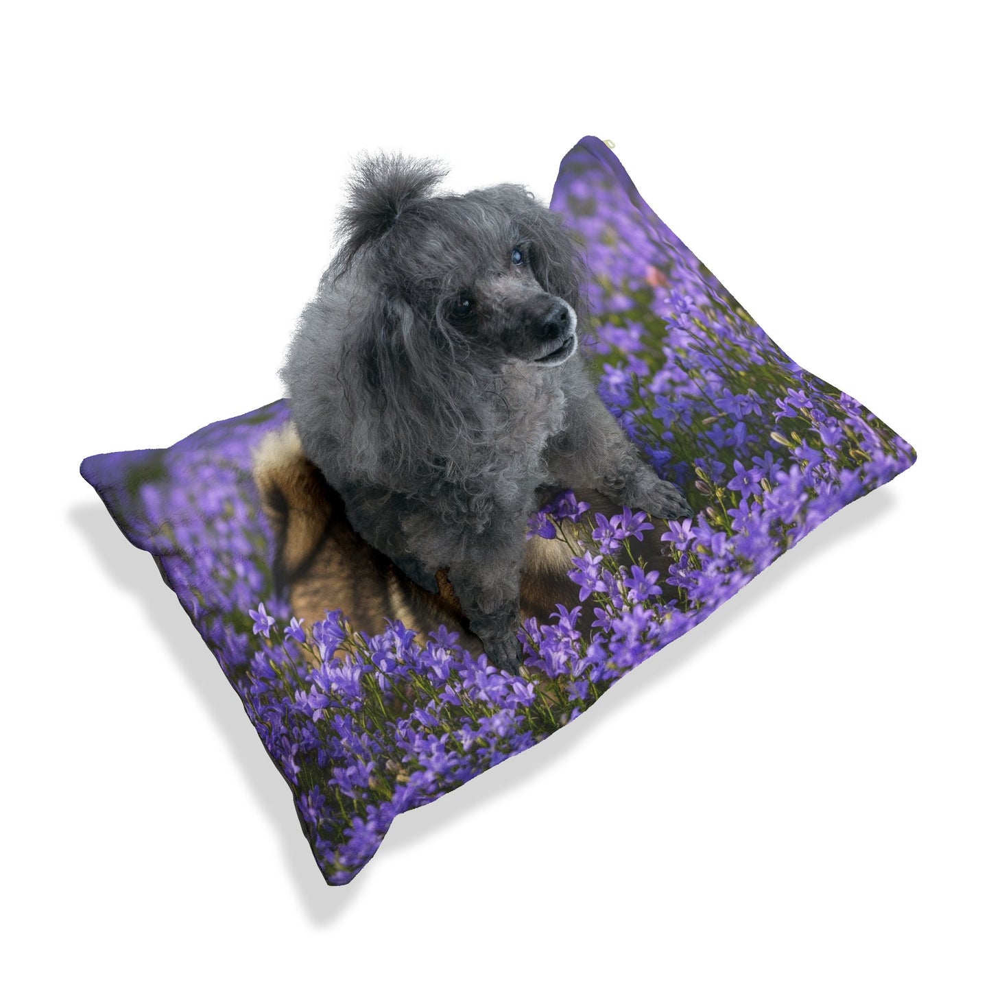 Swedish Vallhund Pet Bed