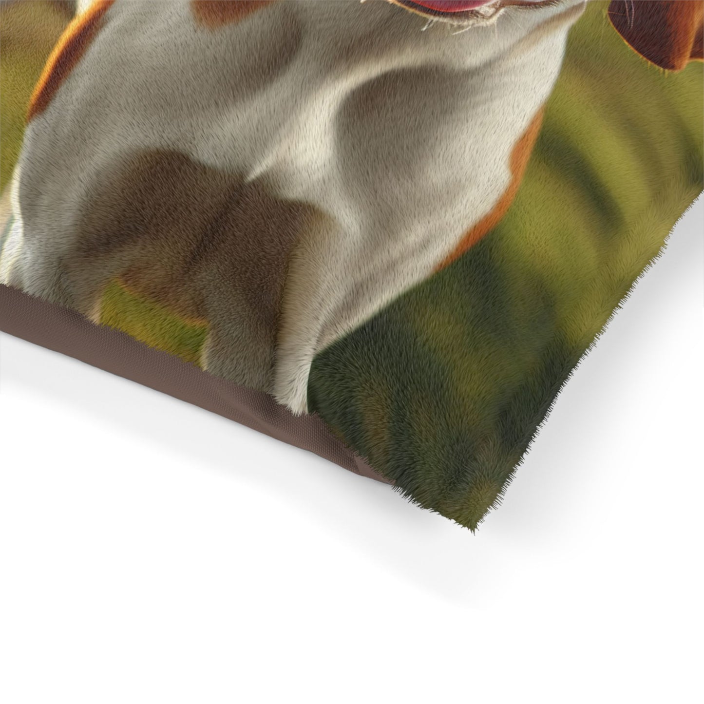 Bracco Italiano Pet Bed
