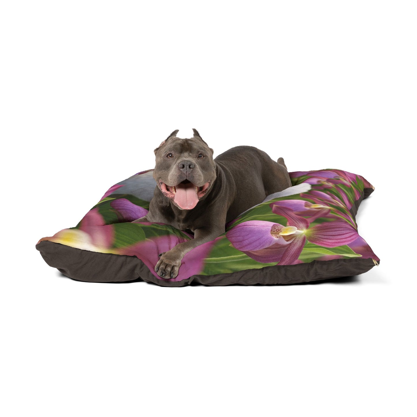 Toy Poodle Pet Bed
