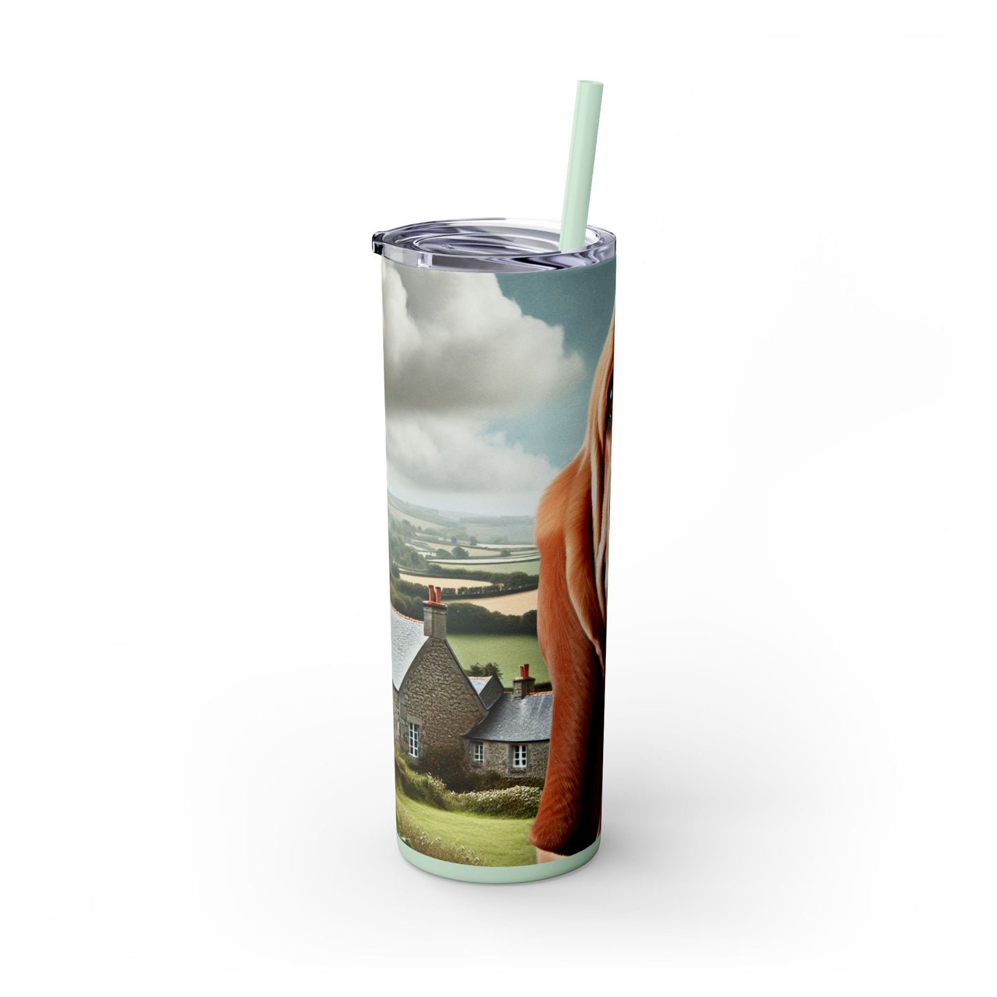 Basset Fauve de Bretagne Tumbler with Straw, 20oz