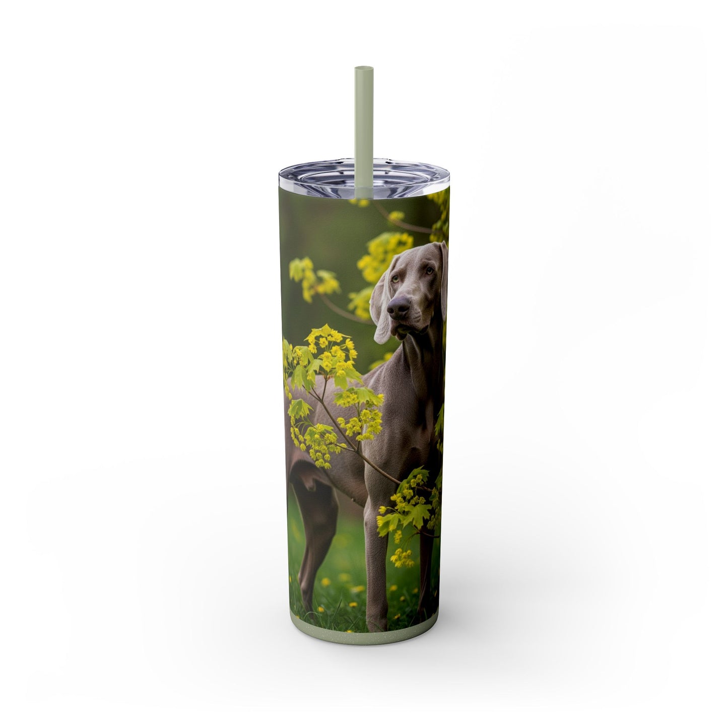 Weimaraner Skinny Tumbler with Straw, 20oz