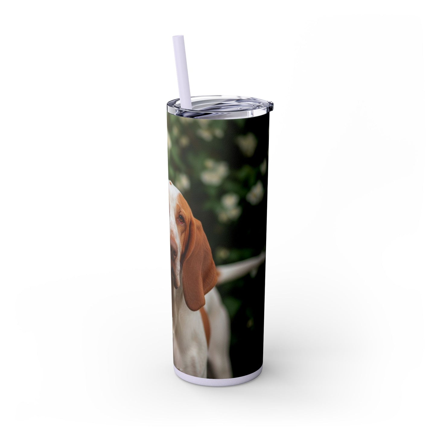 Bracco Italiano Tumbler with Straw, 20oz