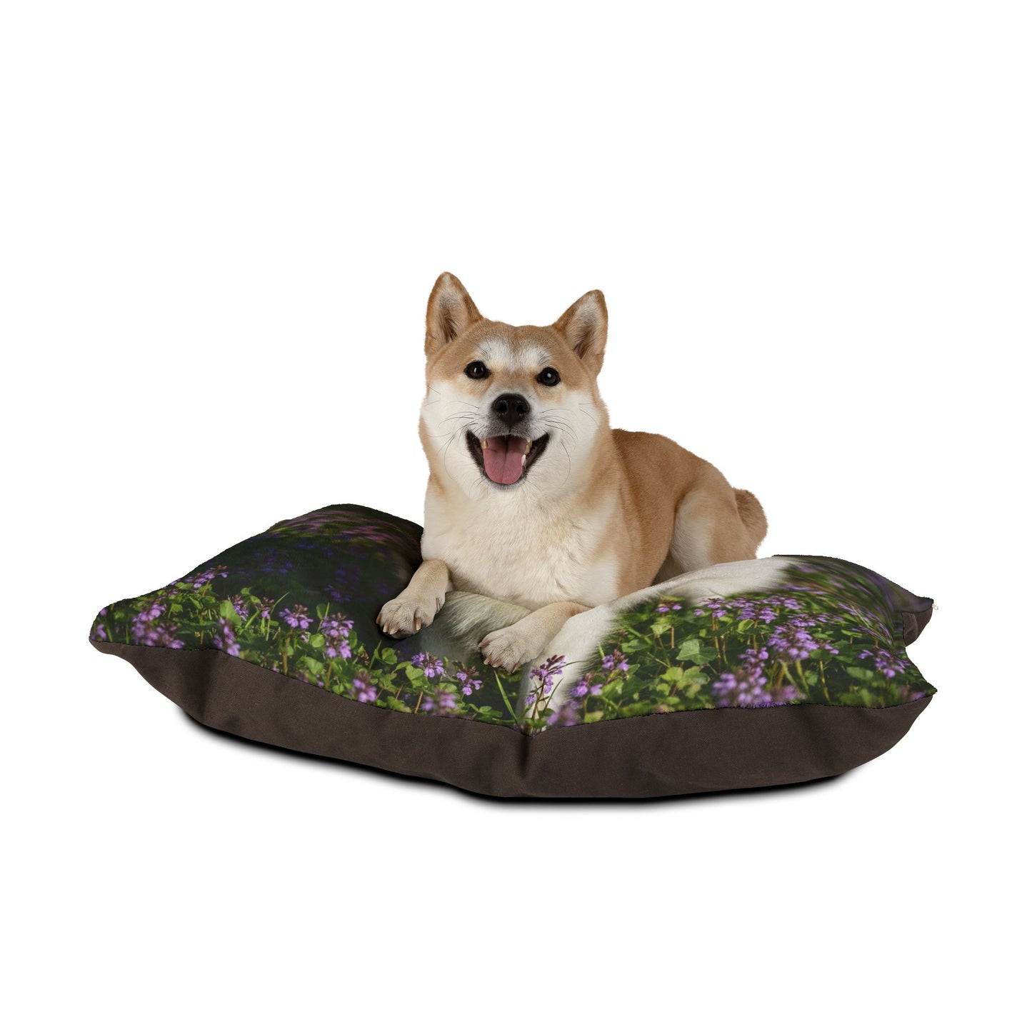 German Spitz Pet Bed