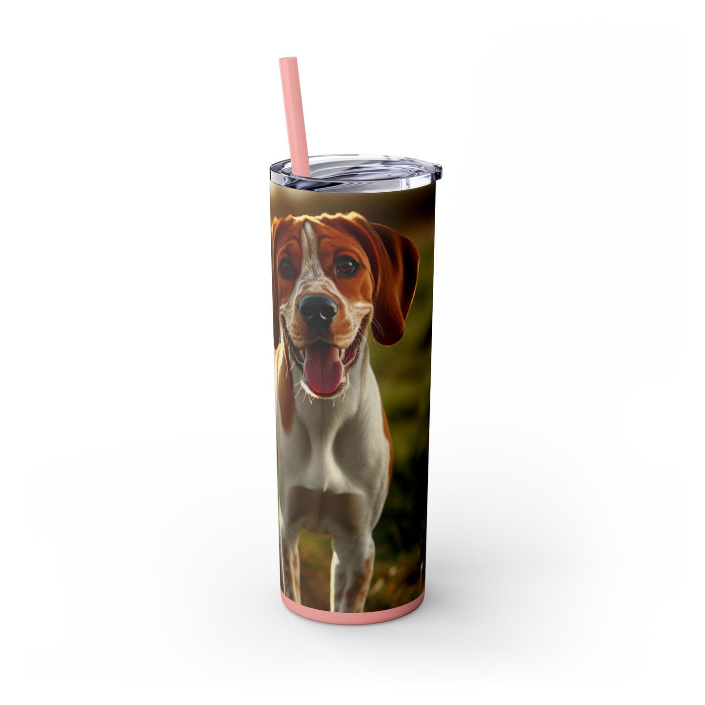 Bracco Italiano Tumbler with Straw, 20oz