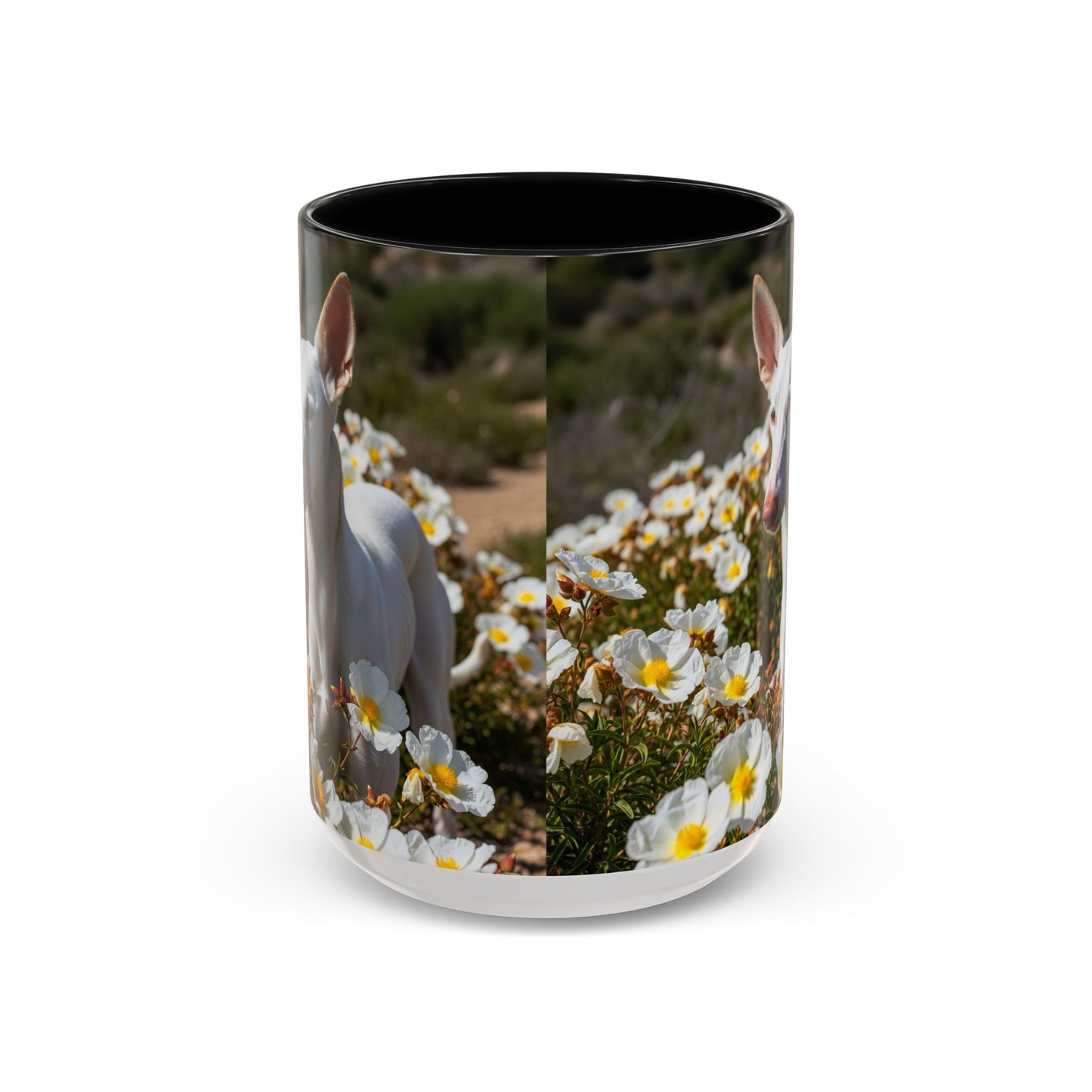 Ibizan Hound Accent Coffee Mug - Perfect Gift for Dog Lovers