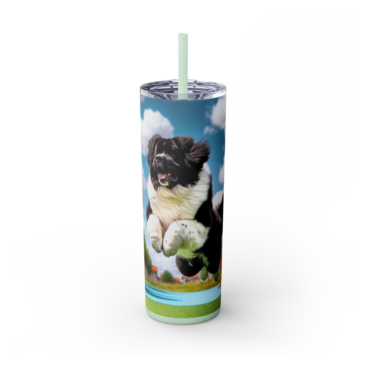 Landseer Tumbler with Straw, 20oz
