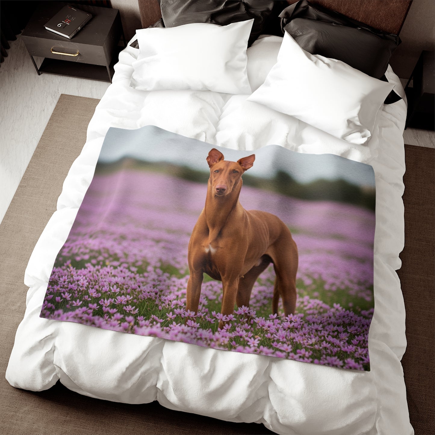 Pharaoh Hound Sweatshirt Blanket