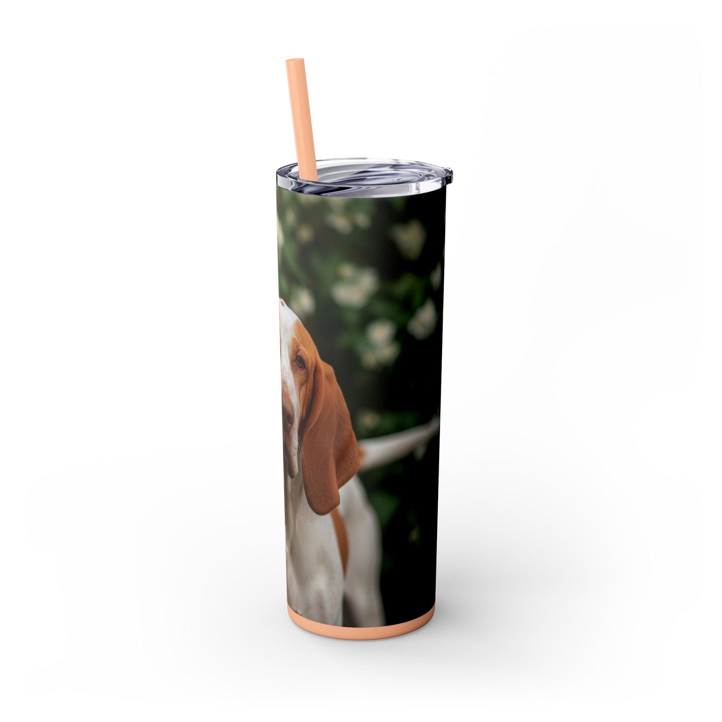 Bracco Italiano Tumbler with Straw, 20oz