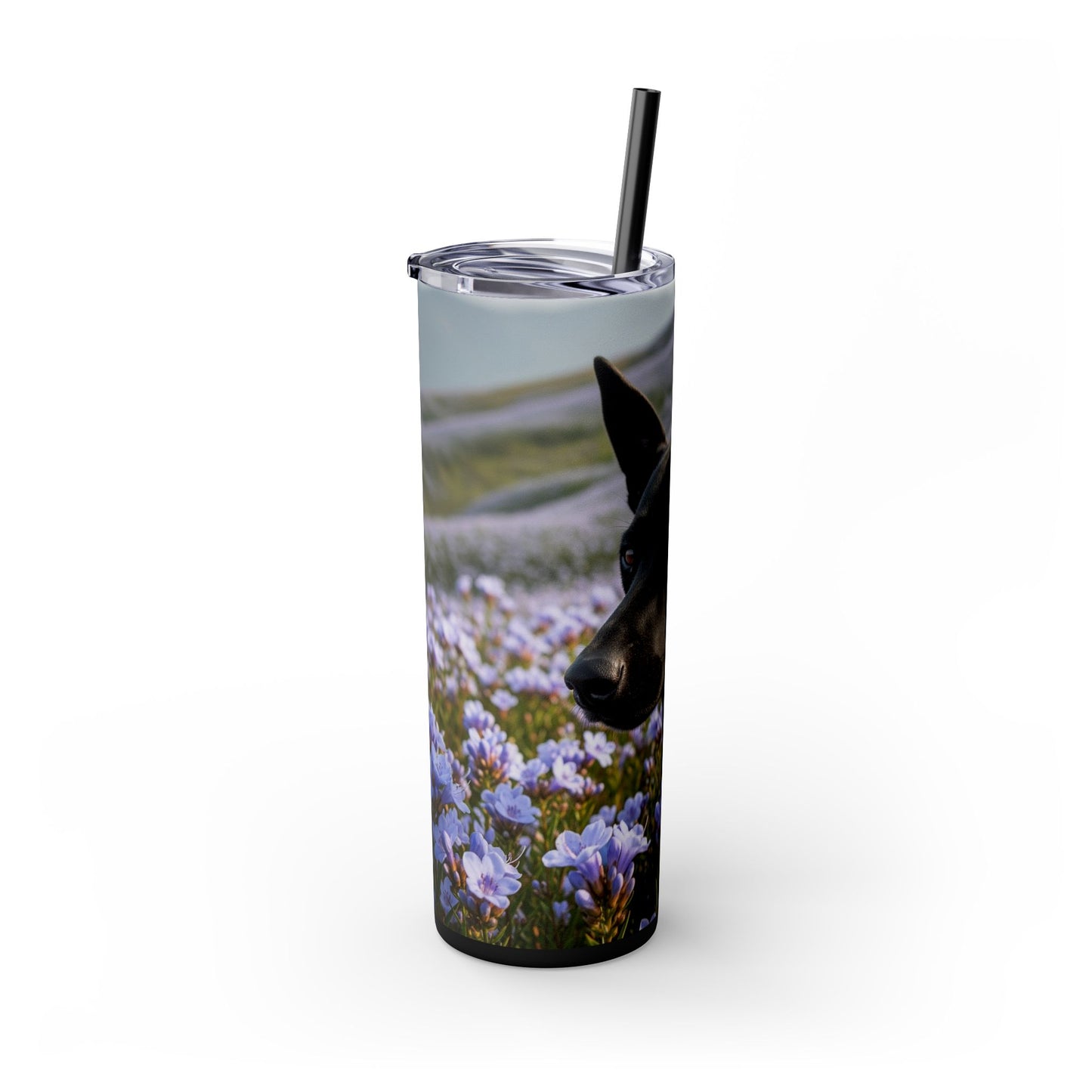 Kanni Tumbler with Straw, 20oz