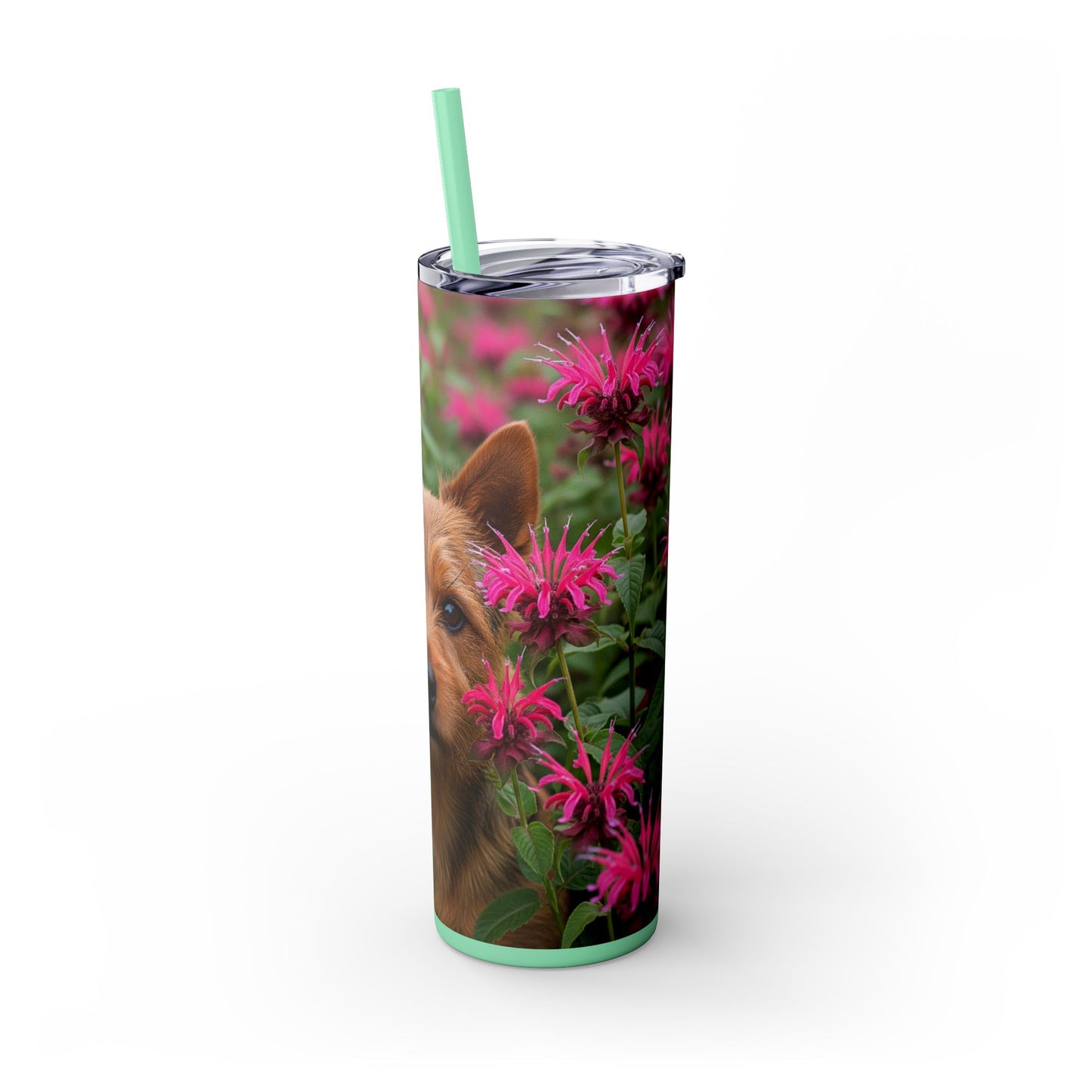 Norwich Terrier Skinny Tumbler with Straw, 20oz