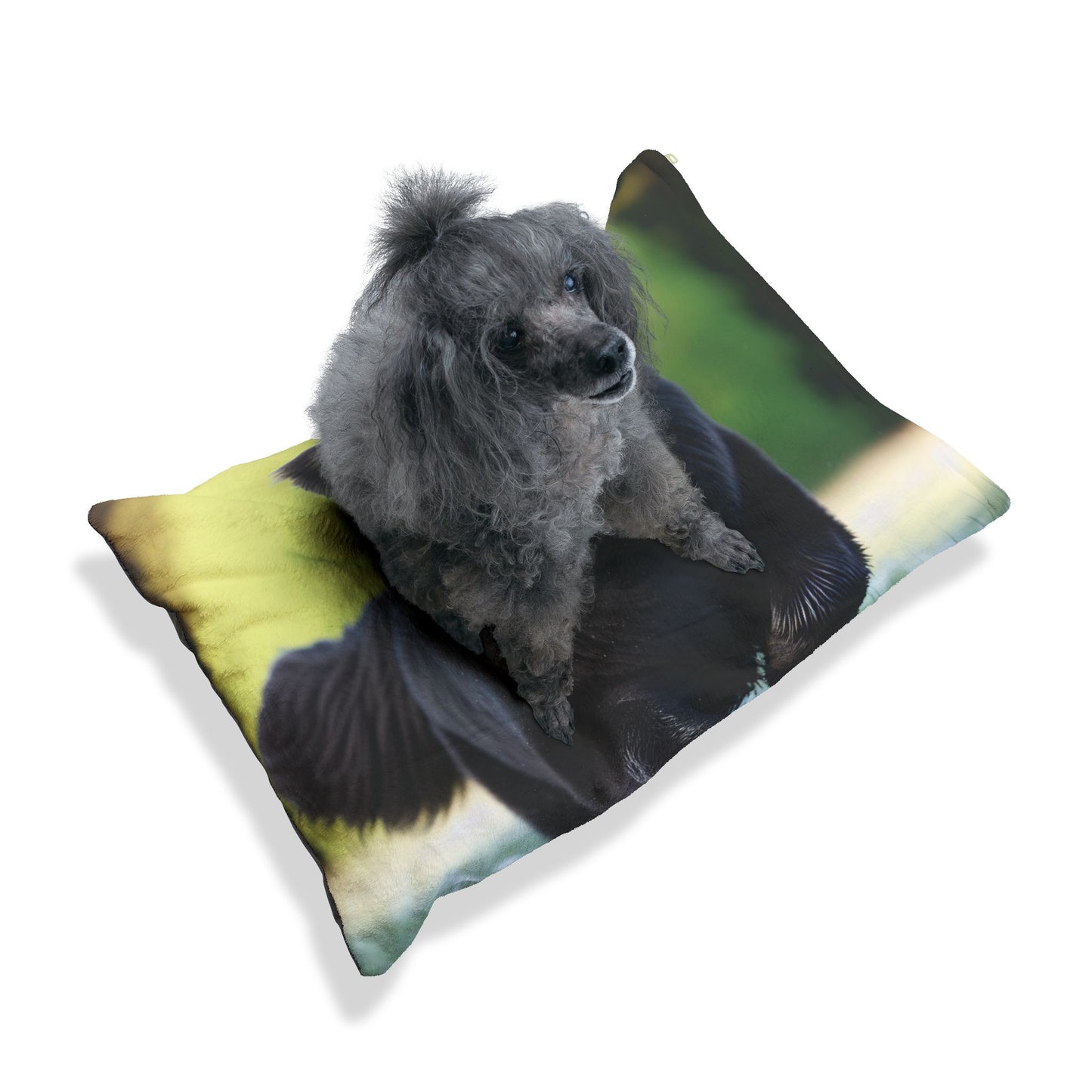 Newfoundland Pet Bed