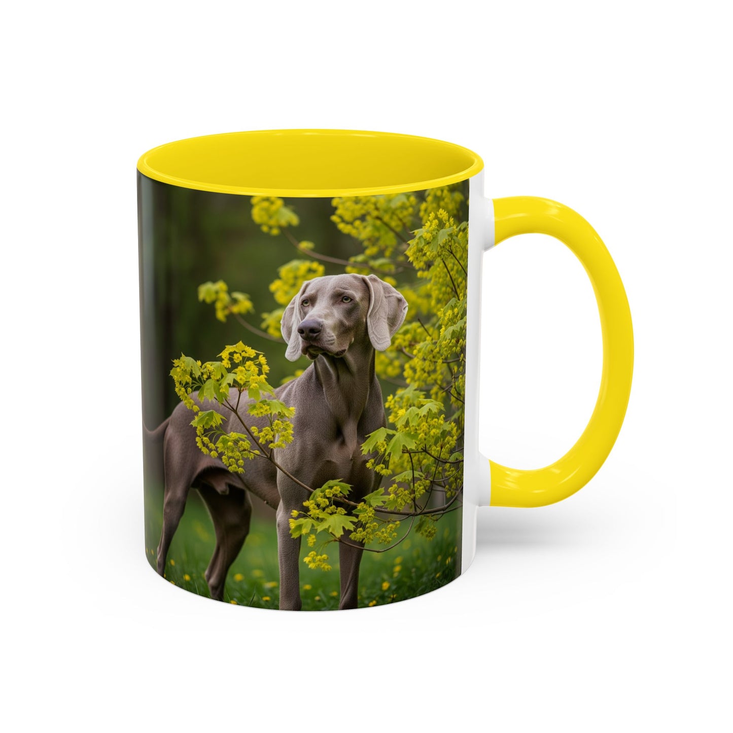 Weimaraner Accent Coffee Mug - Perfect Gift for Dog Lovers