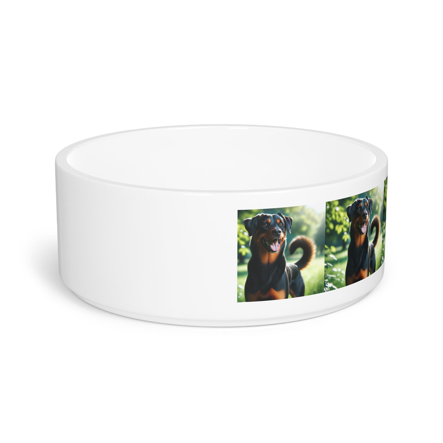 Beauceron Pet Bowl