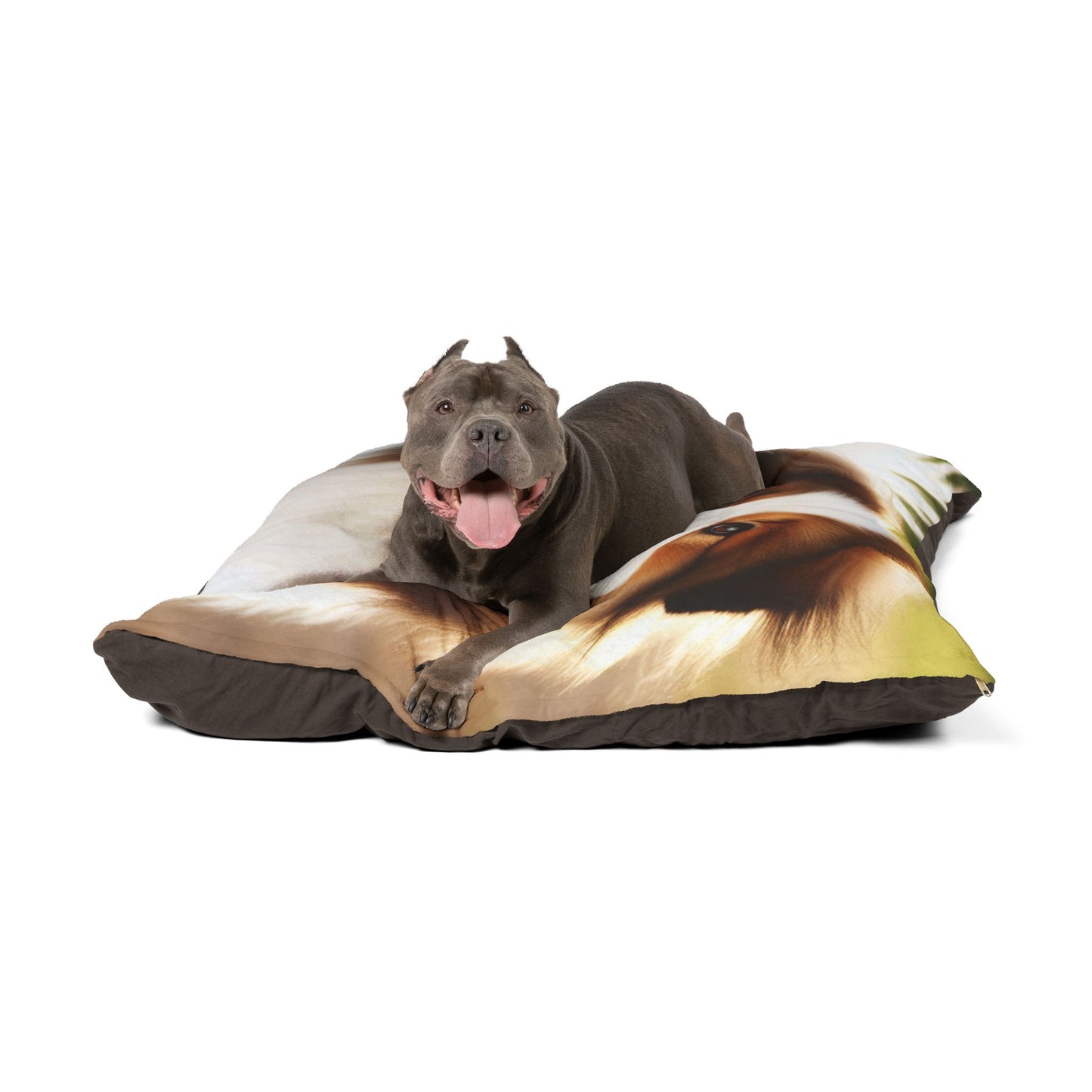 Drentsche Patrijshond Pet Bed