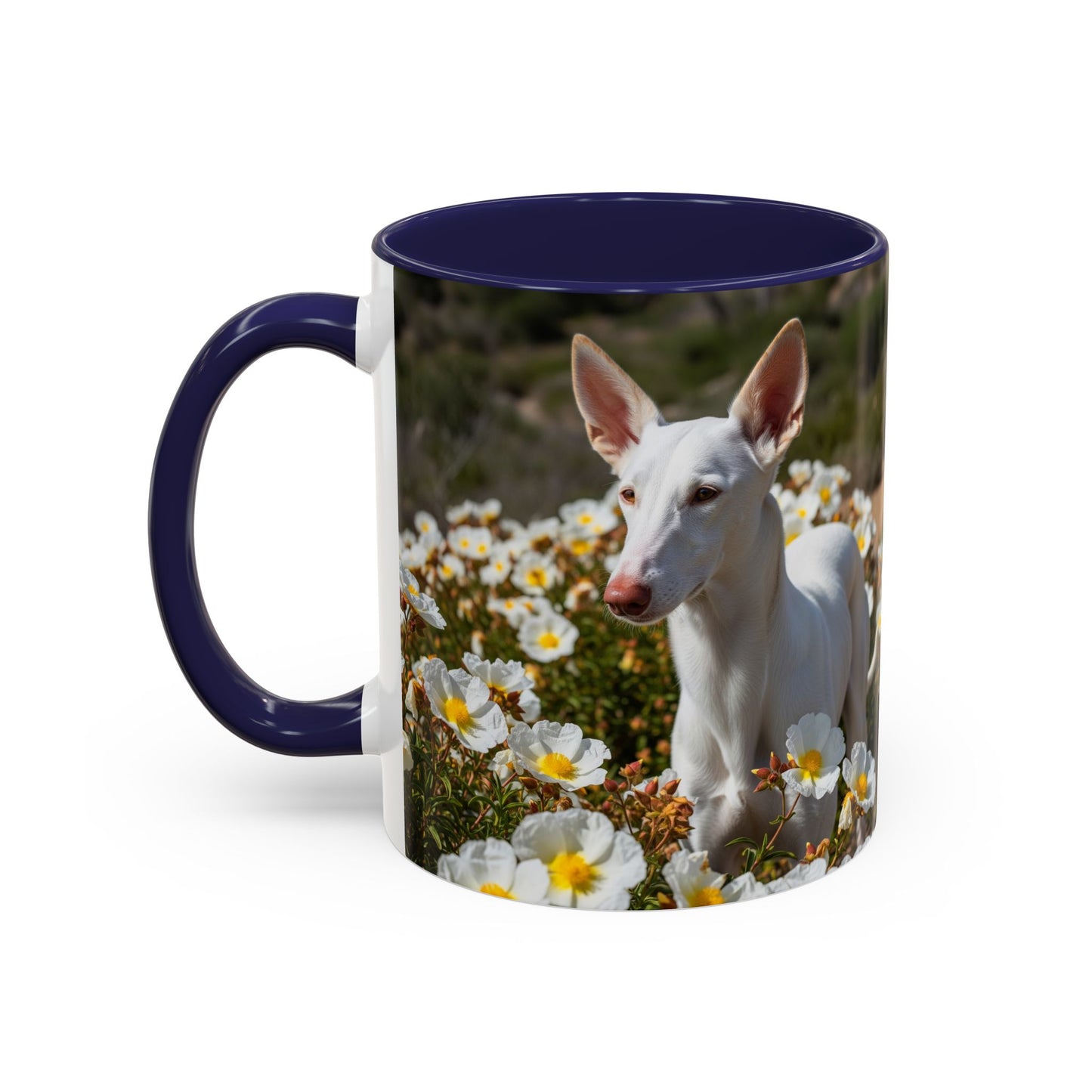 Ibizan Hound Accent Coffee Mug - Perfect Gift for Dog Lovers