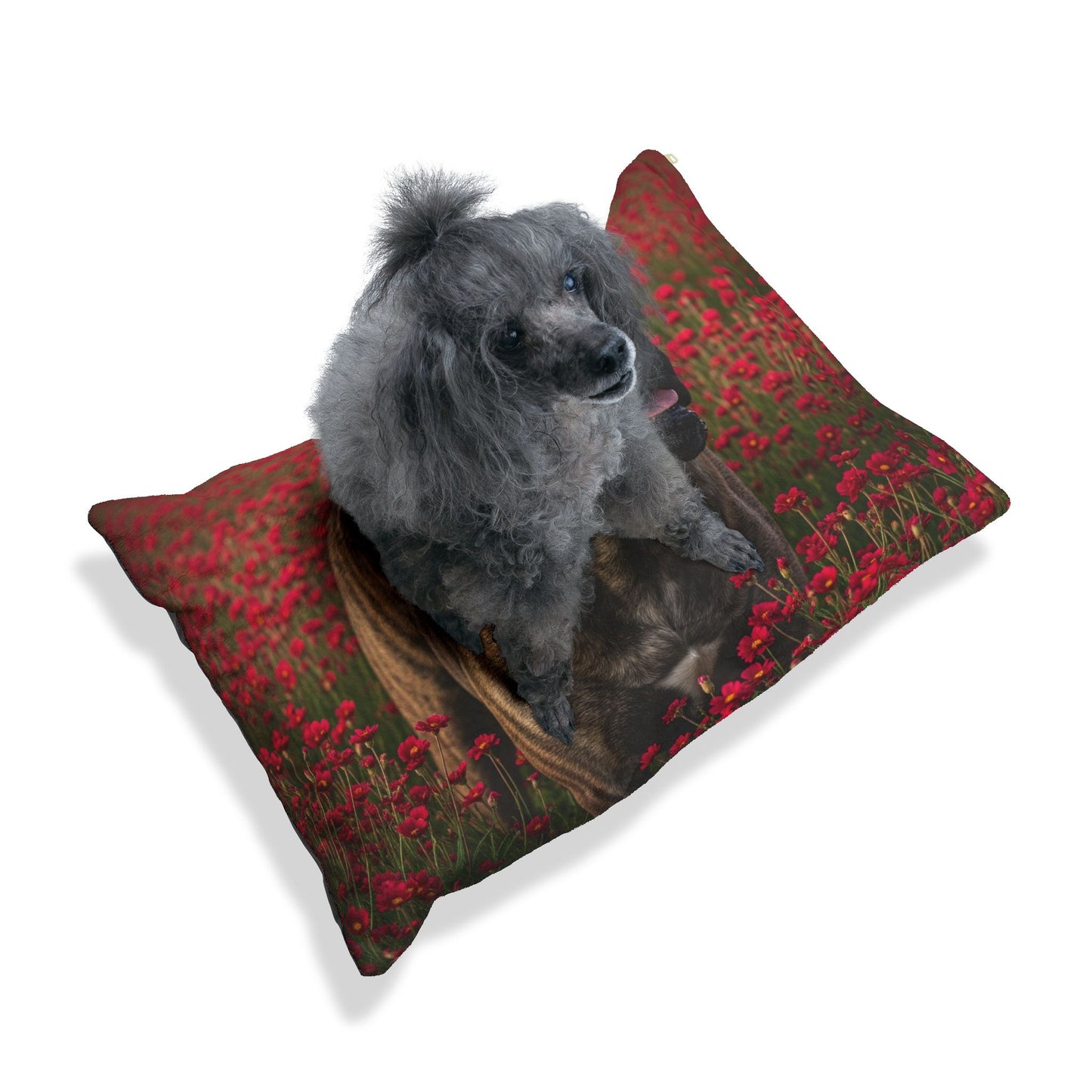 Bullmastiff Pet Bed