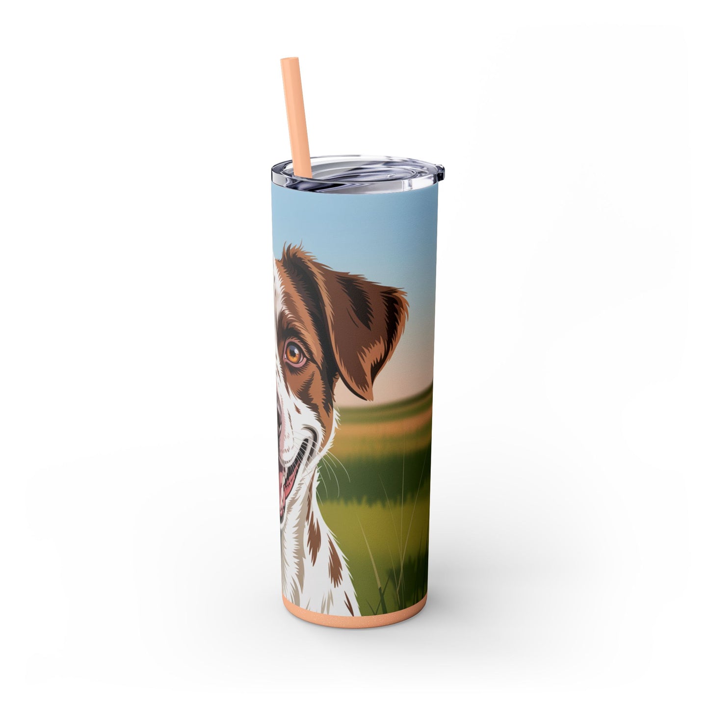 Telomian Skinny Tumbler with Straw, 20oz