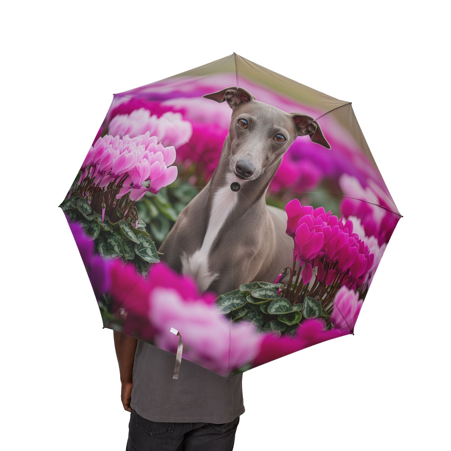 Italian Greyhound Semi-Automatic Foldable Umbrella