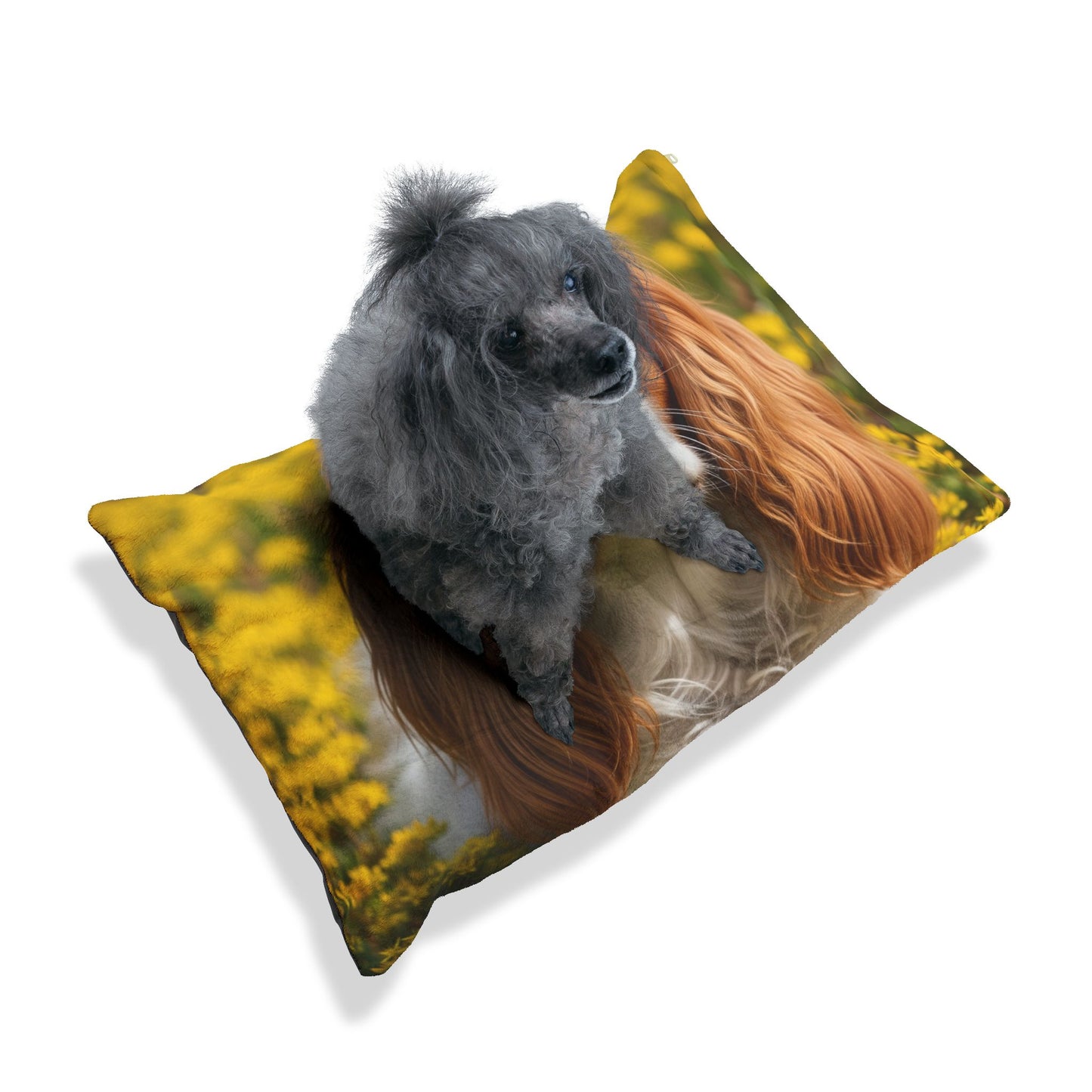 Cavalier King Charles Spaniel Pet Bed
