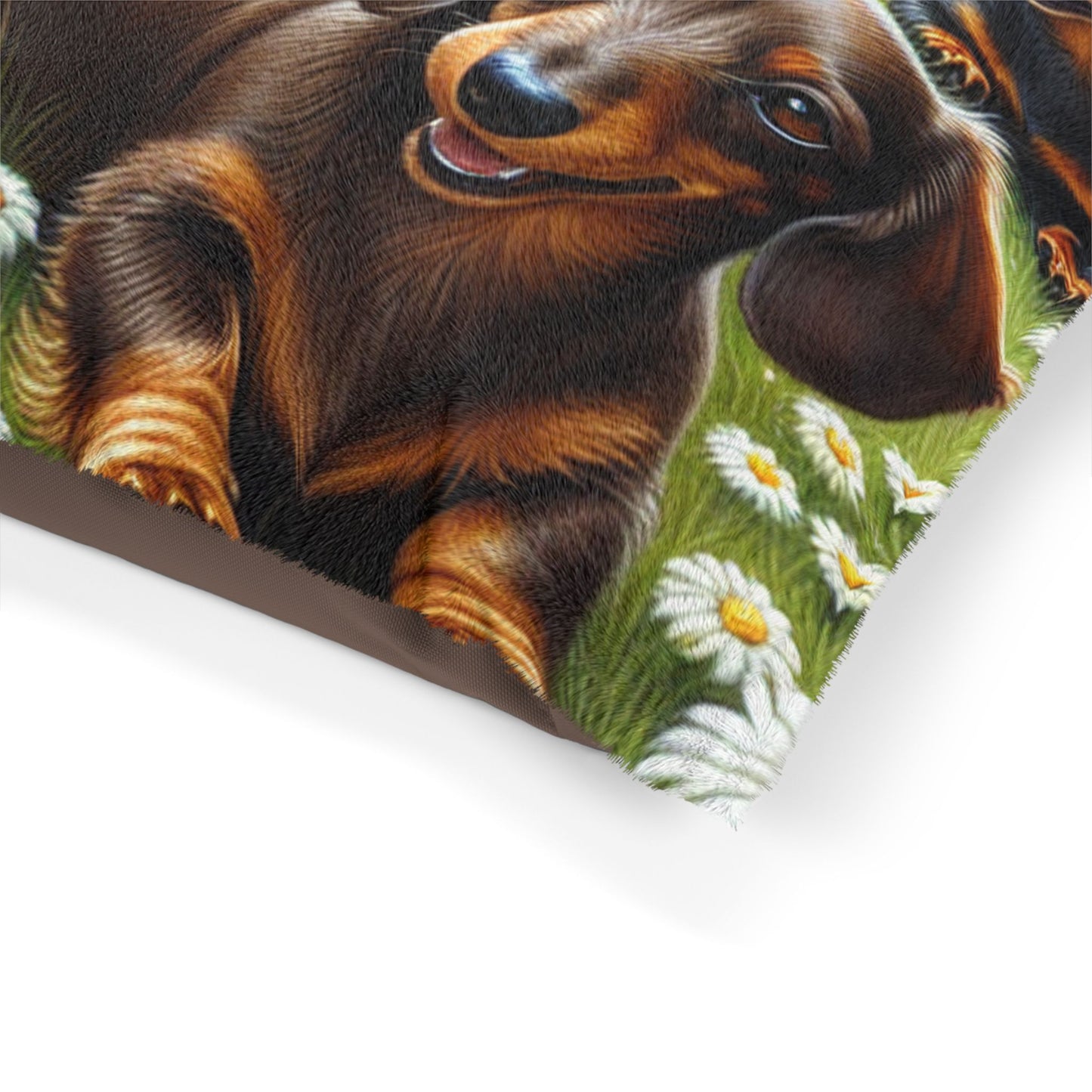 Dachshund Pet Bed