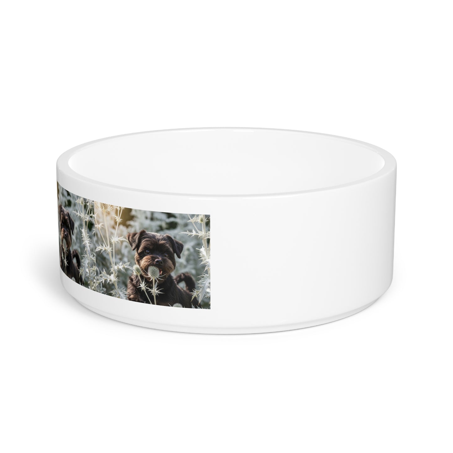 Affenpinscher Pet Bowl
