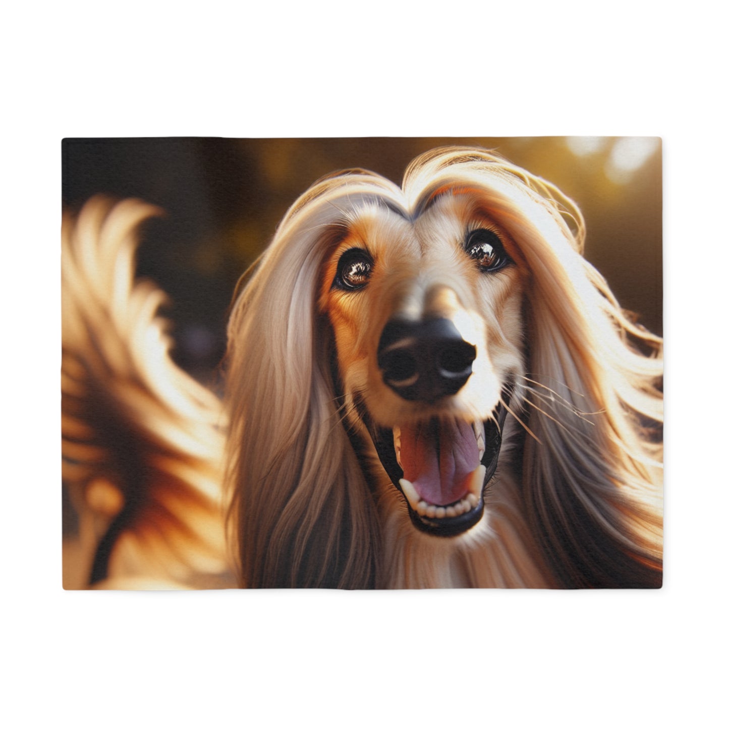 Afghan Hound Sweatshirt Blanket