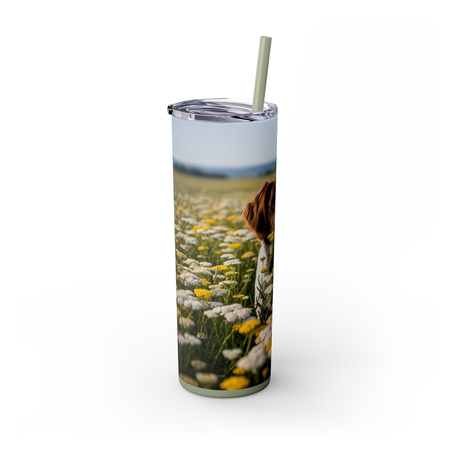Drentsche Patrijshond Skinny Tumbler with Straw, 20oz