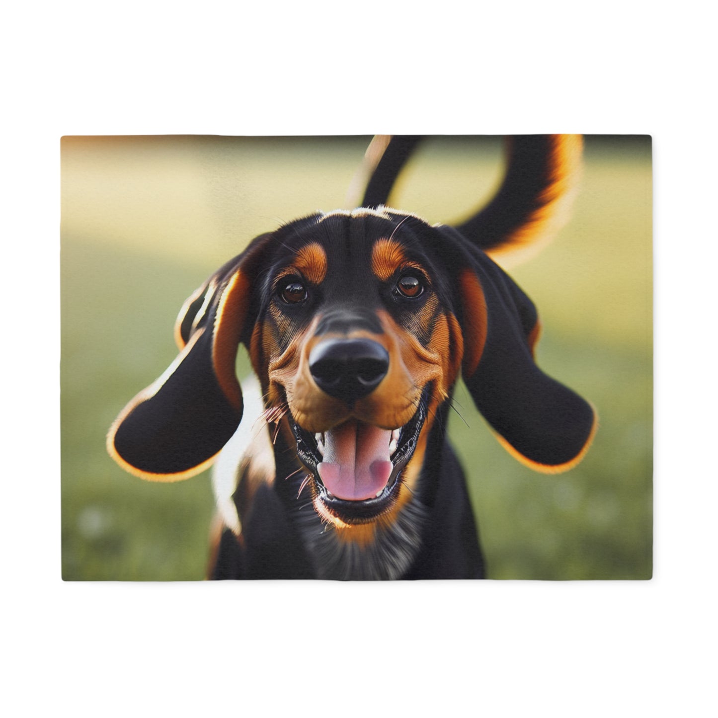 Black and Tan Coonhound Sweatshirt Blanket