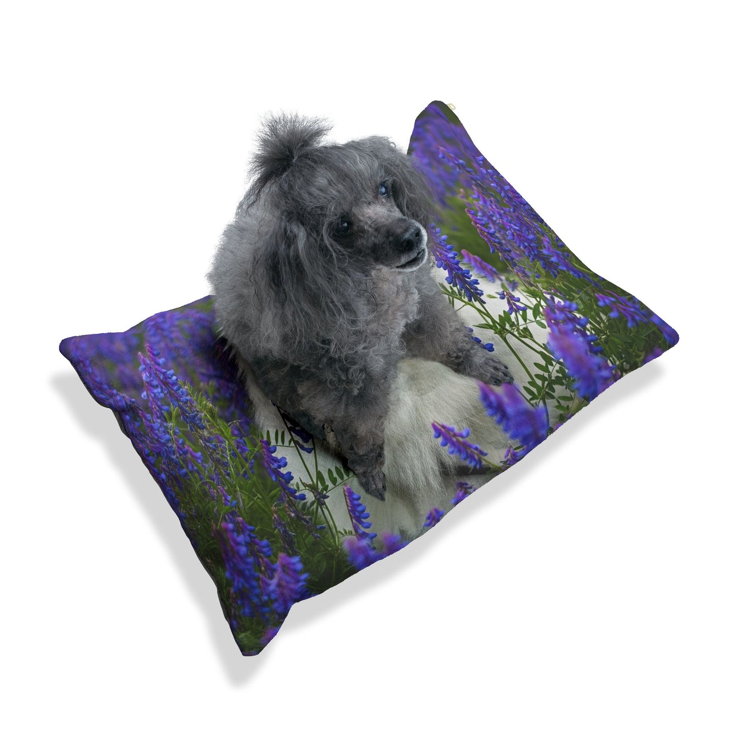 Pomeranian Pet Bed