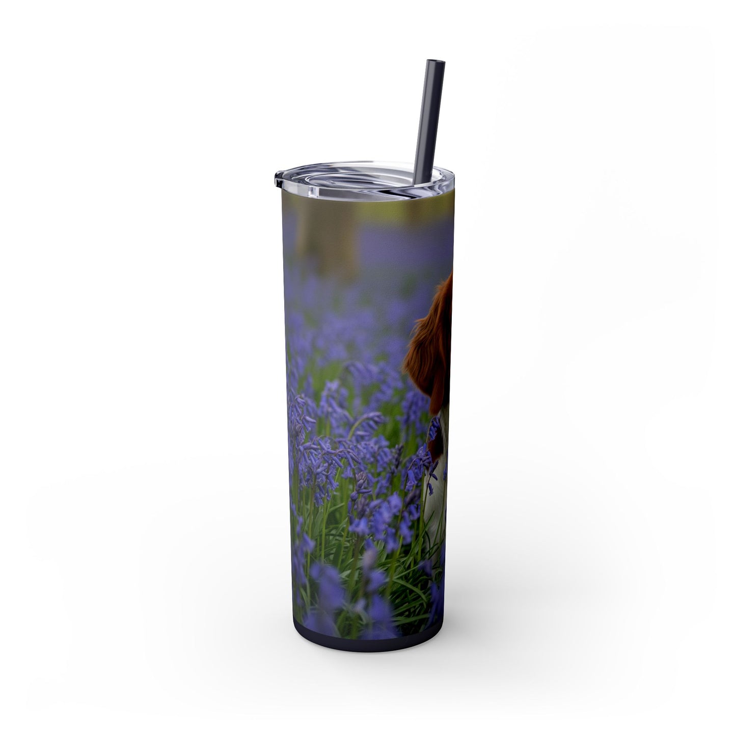 Welsh Springer Spaniel Skinny Tumbler with Straw, 20oz