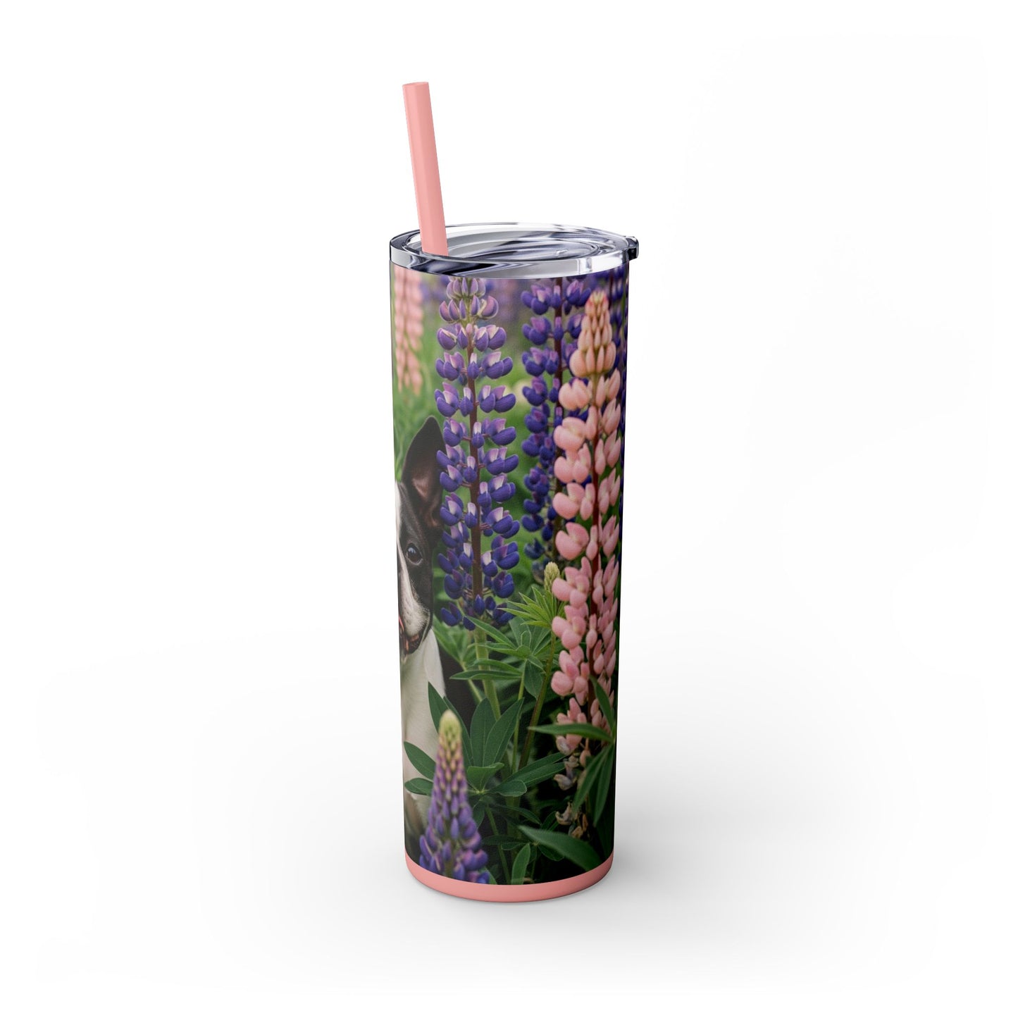 Boston Terrier Tumbler with Straw, 20oz