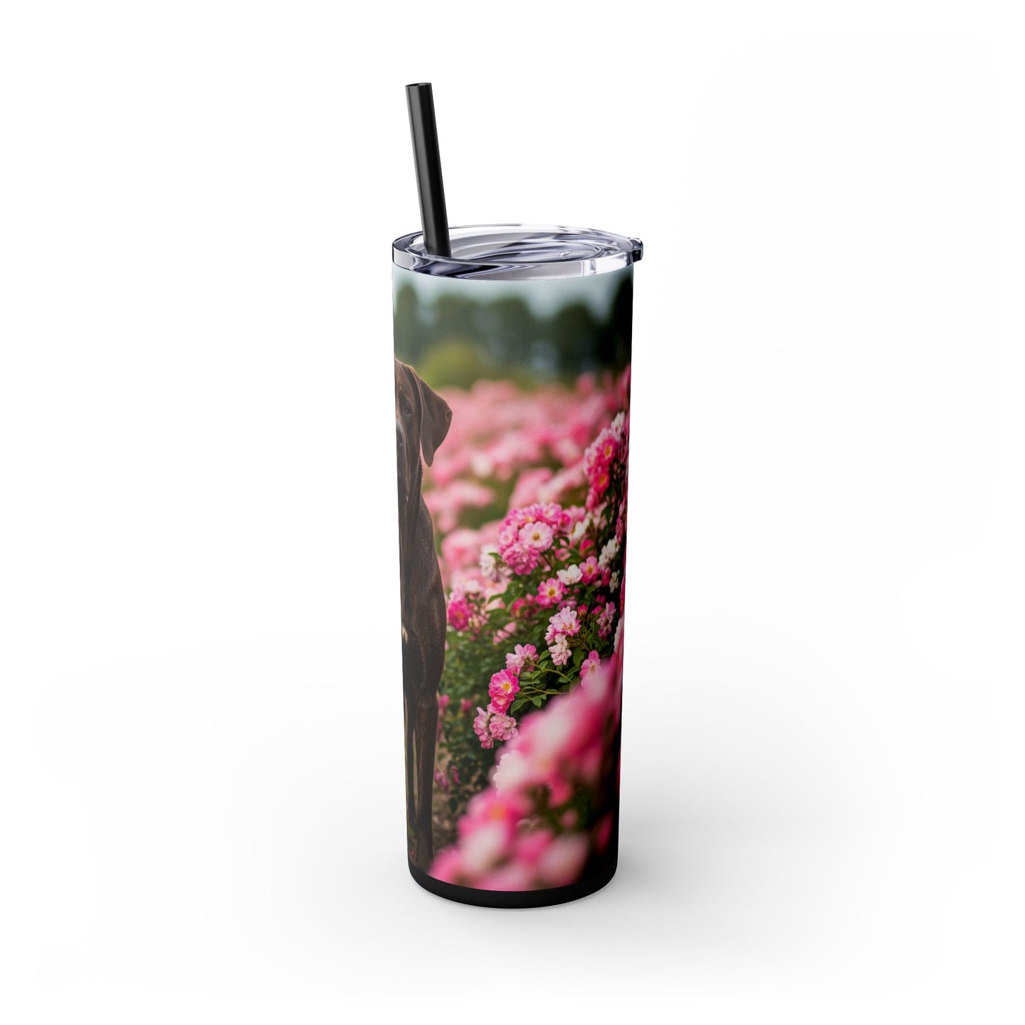 Broholmer Tumbler with Straw, 20oz