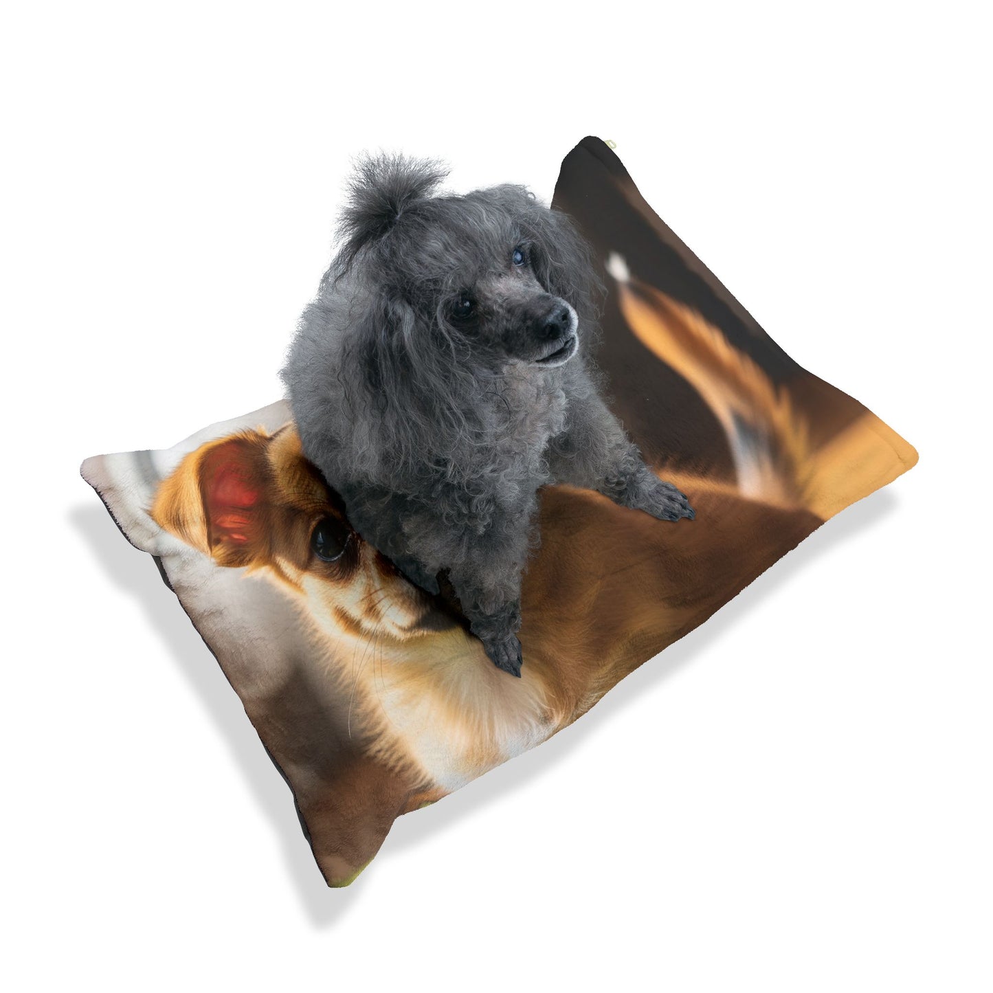 Toi Leo Pet Bed