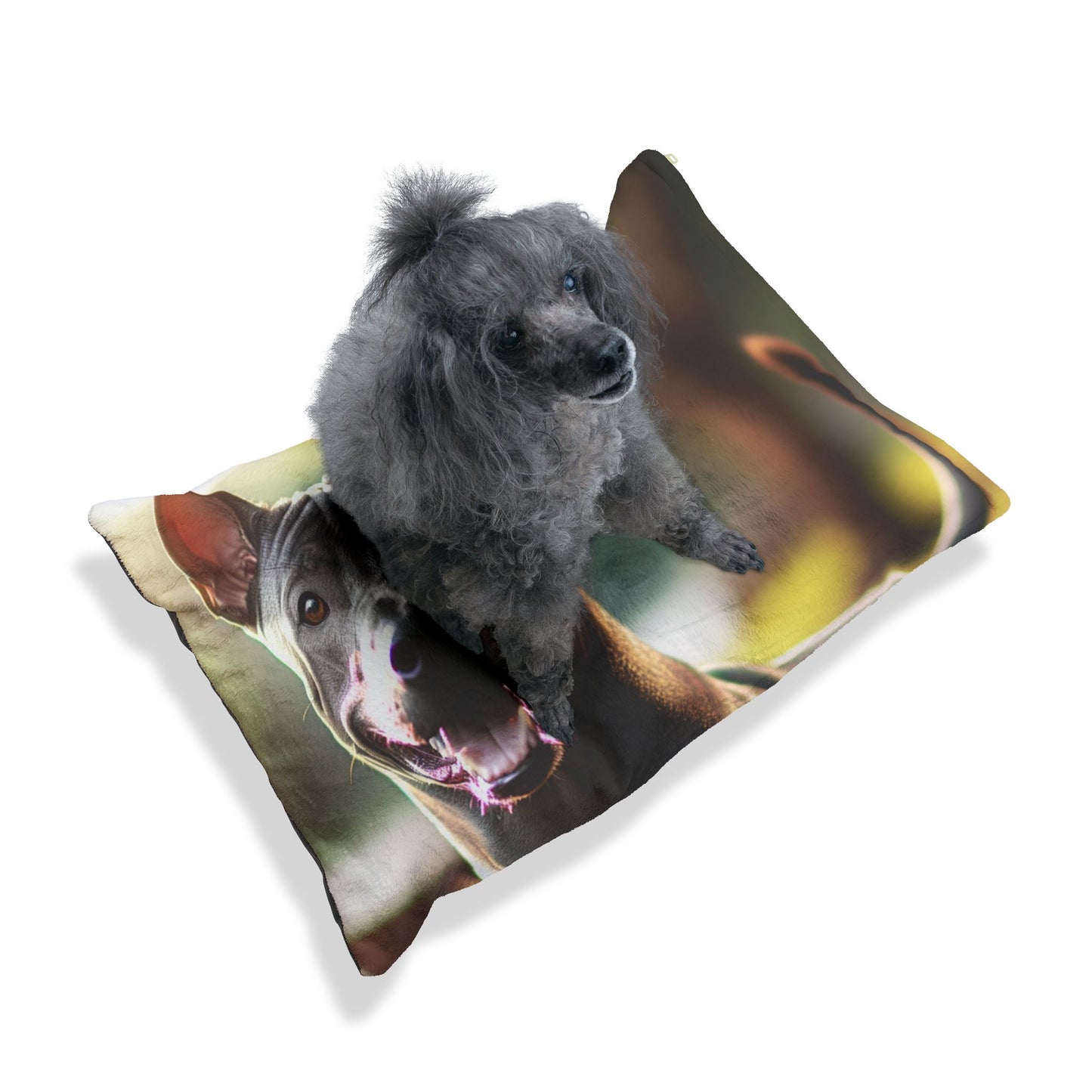 Thai Ridgeback Pet Bed