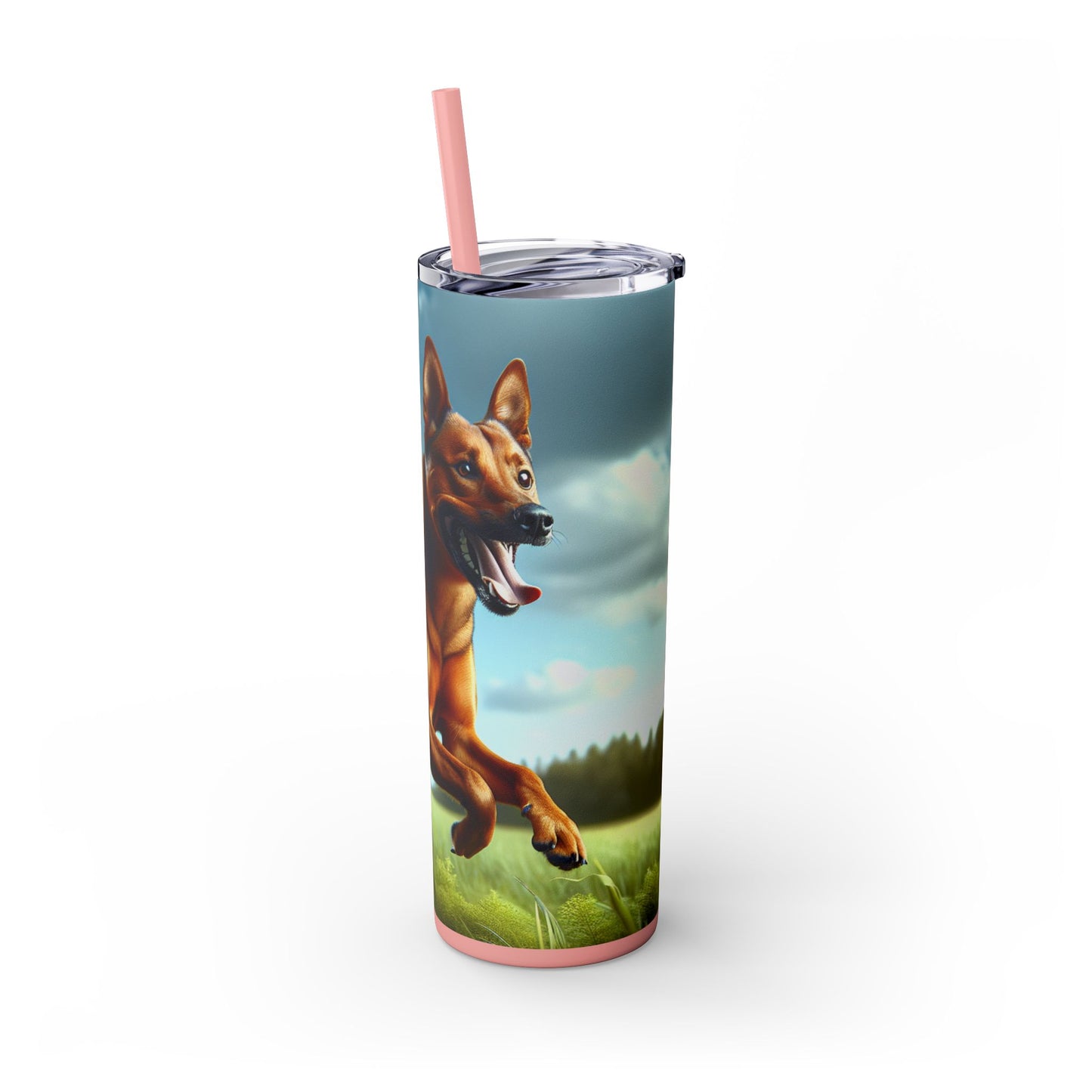 Kanni Tumbler with Straw, 20oz