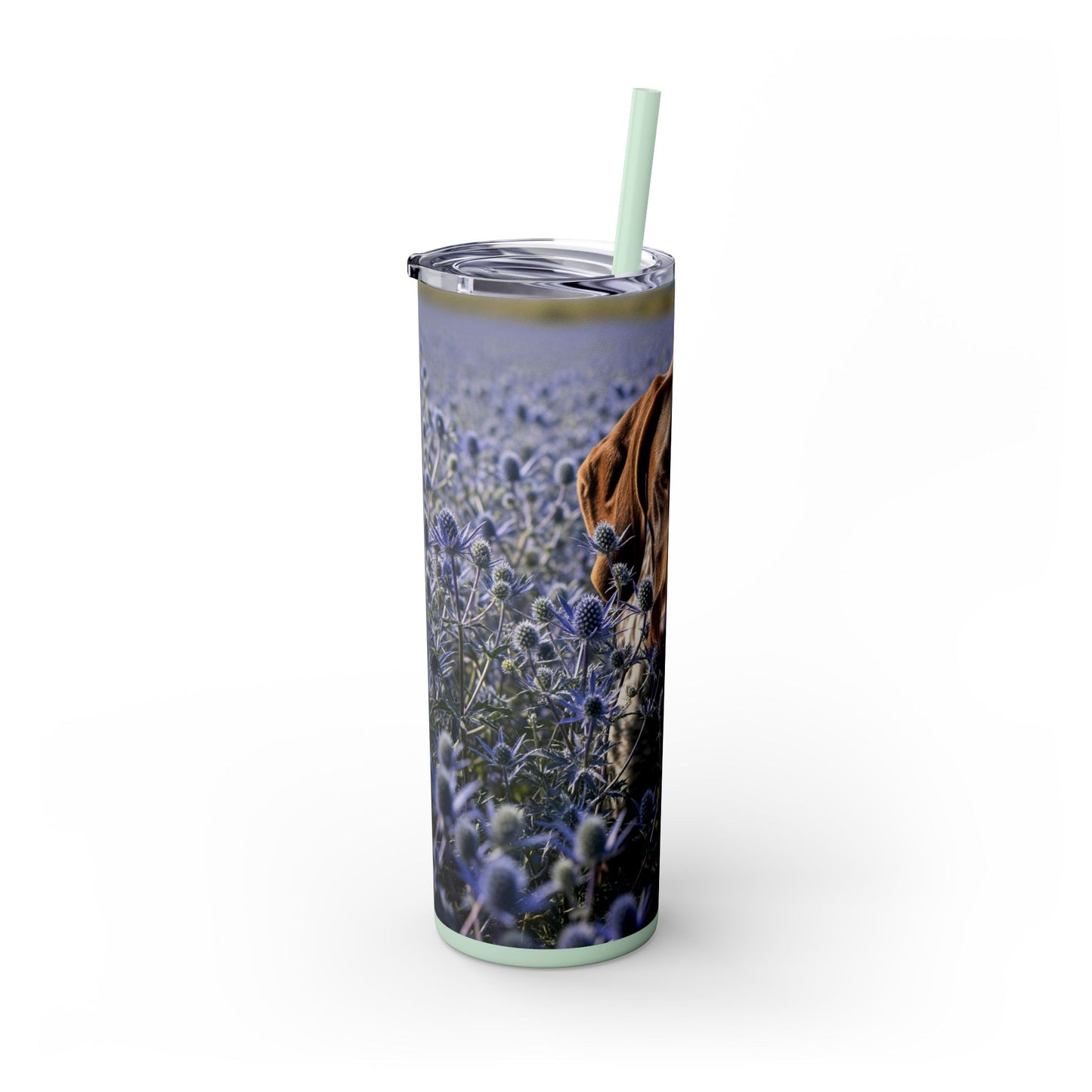 German Shorthaired Pointer Tumbler with Straw, 20oz