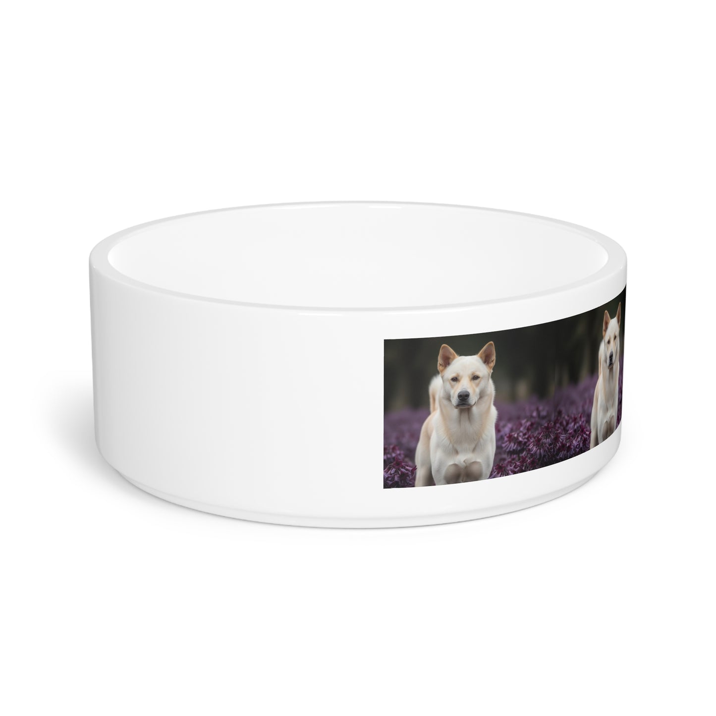 Thai Bangkaew Pet Bowl