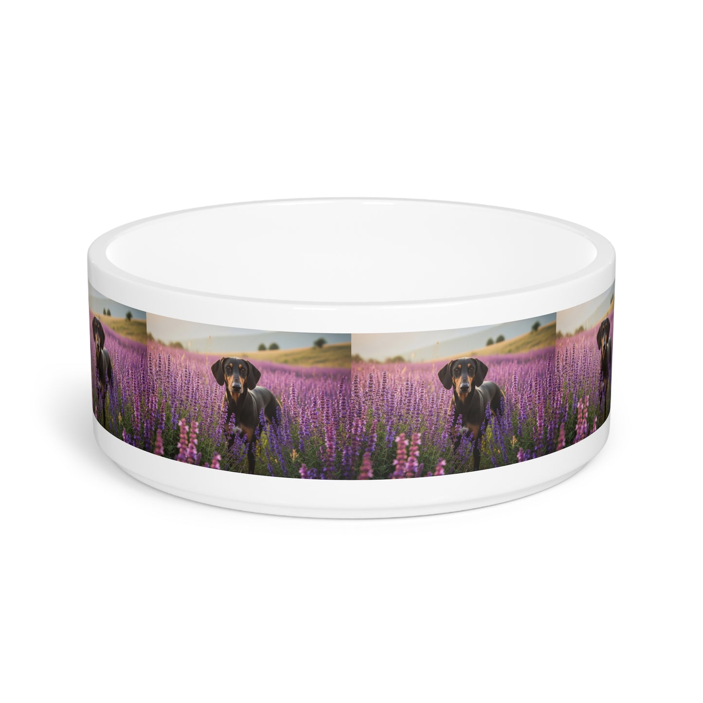 Transylvanian Hound Pet Bowl