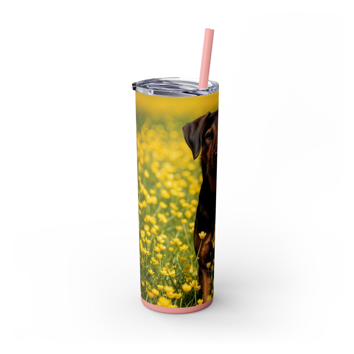 Drever Tumbler with Straw, 20oz