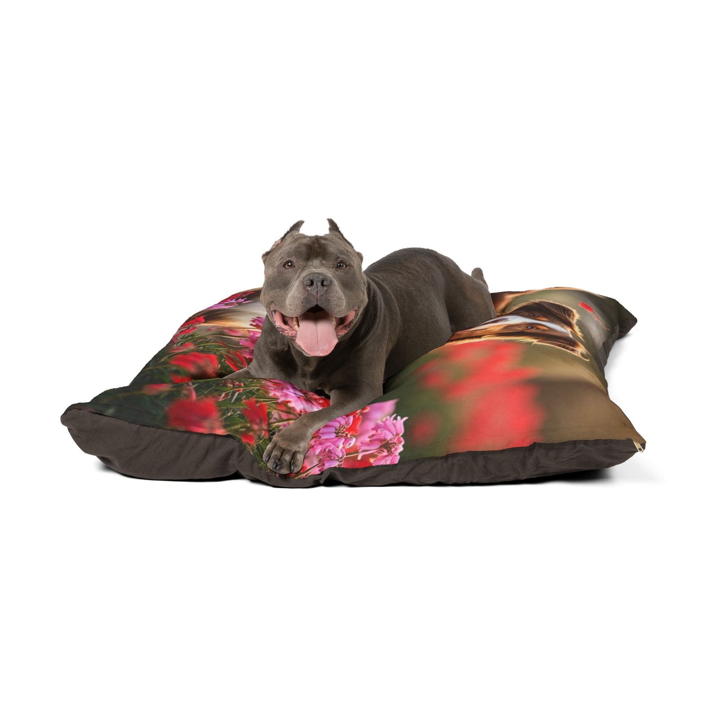 Mini Aussie Pet Bed