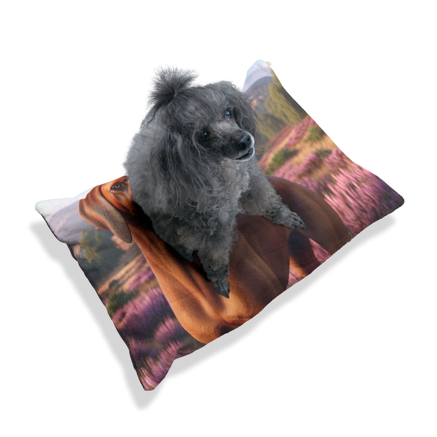 Hanoverian Scenthound Pet Bed